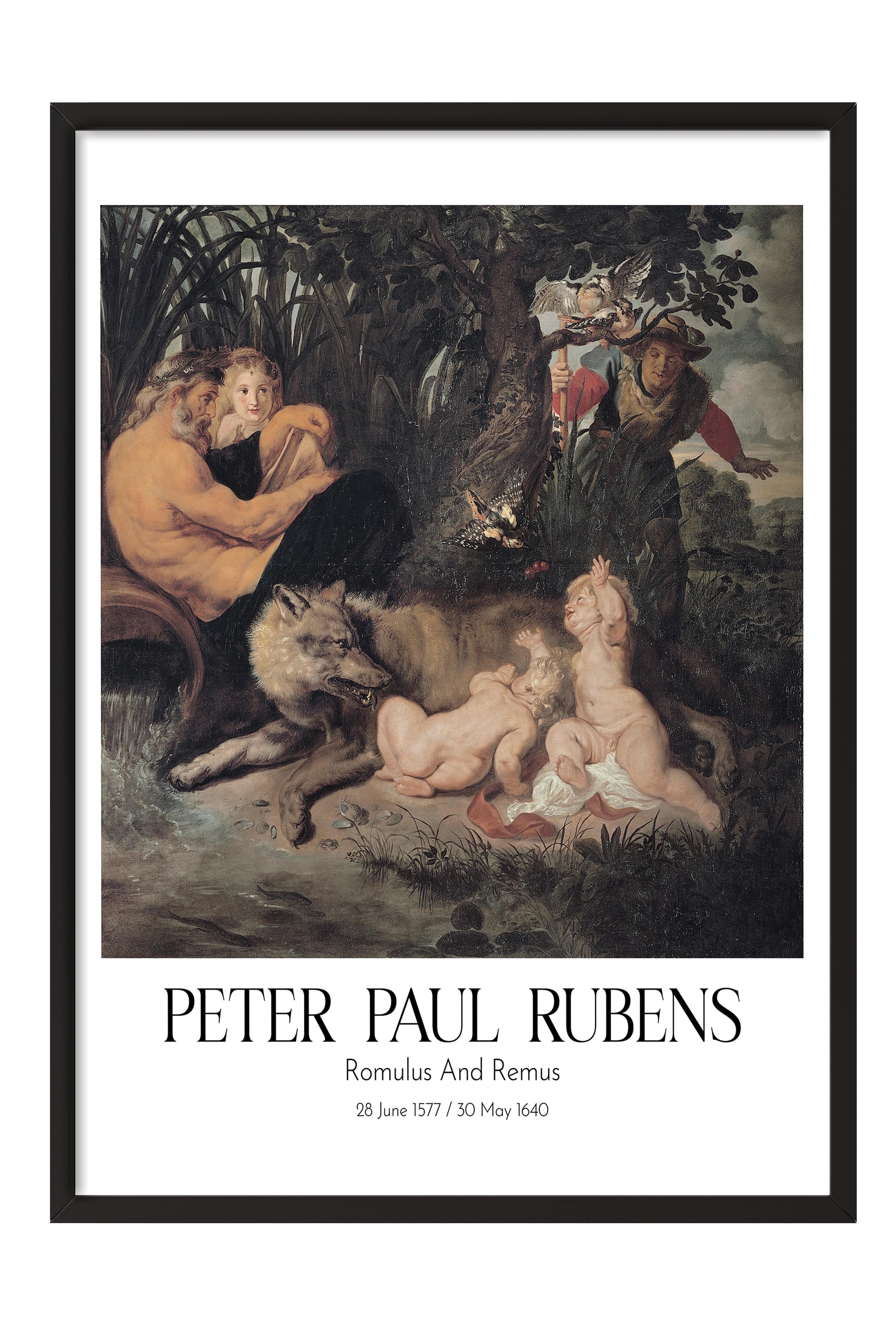 Peter Paul Rubens - Romulus And Remus, Siyah Çerçeveli Tablo, Sanat Serisi NO:112327