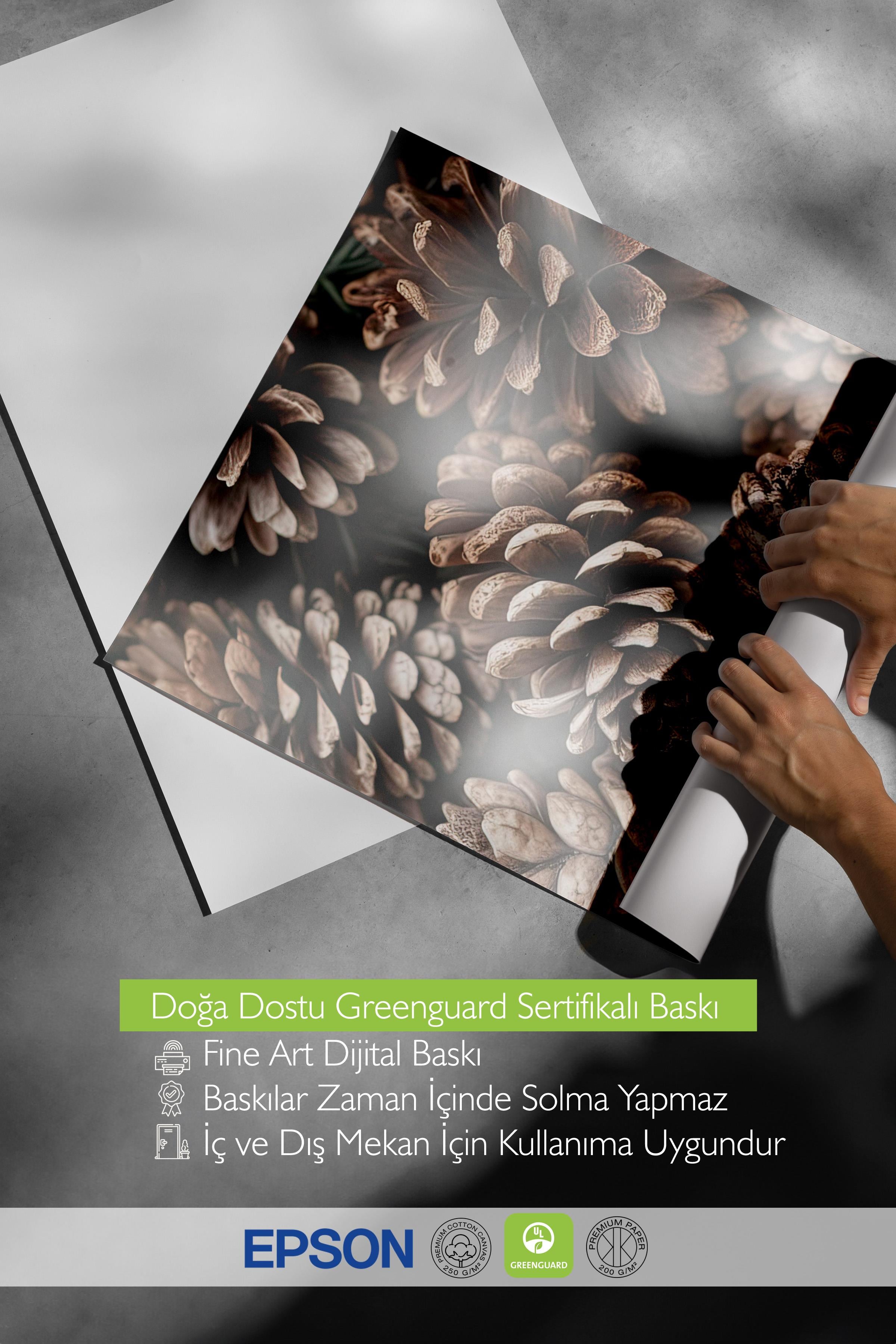 Pine Cones Poster, Çerçevesiz Duvar Posteri, Dikey Duvar Tablosu Comfort Serisi NO:108341