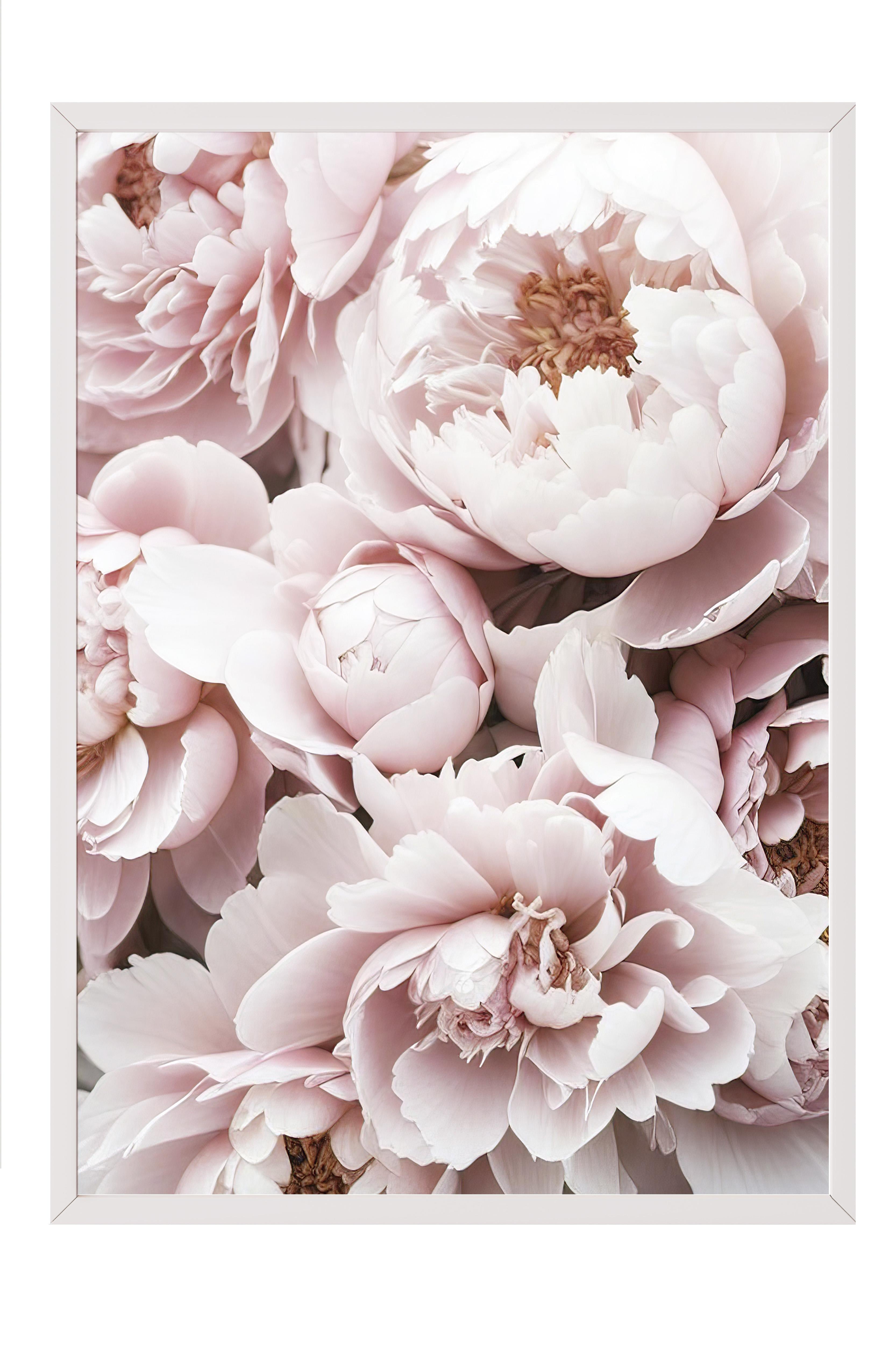 Pink Peony Dream Çerçeveli Tablo, Beyaz Çerçeve ve Poster, Duvar Tablosu Comfort Serisi NO:108369