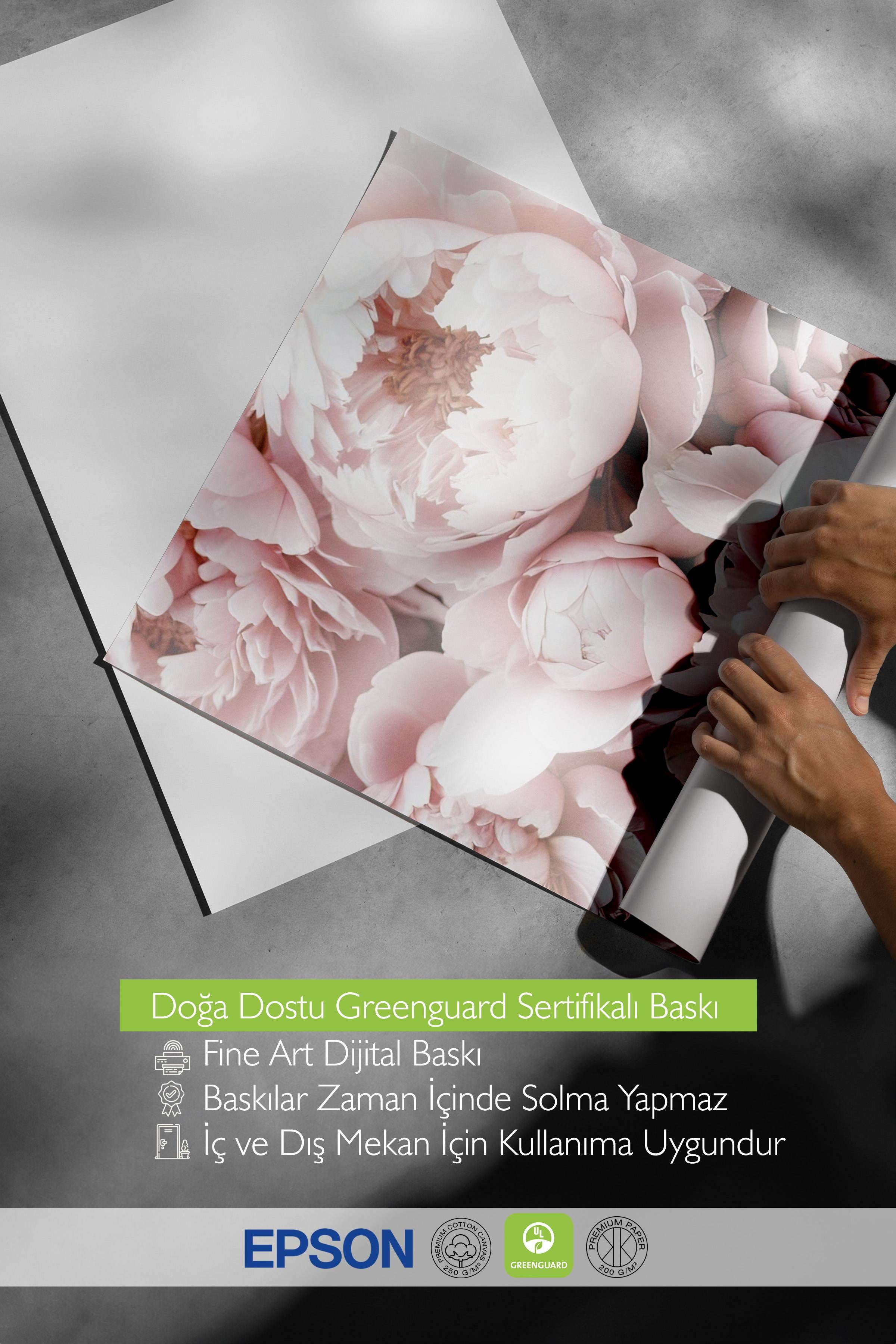 Pink Peony Dream Poster, Çerçevesiz Duvar Posteri, Dikey Duvar Tablosu Comfort Serisi NO:108369