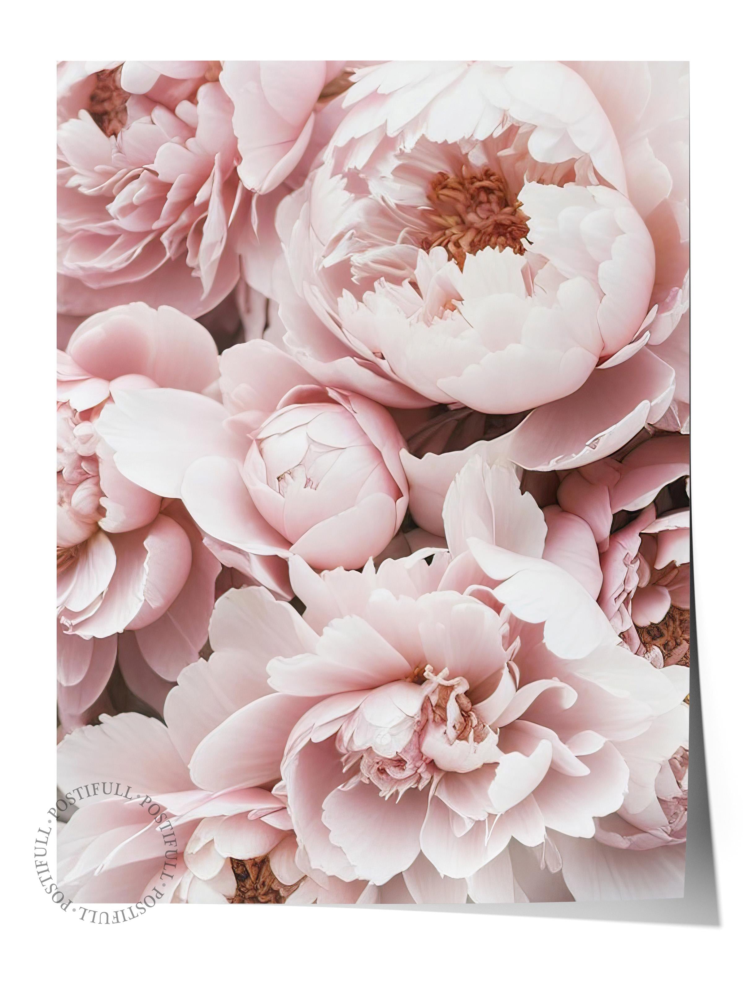 Pink Peony Dream Poster, Çerçevesiz Duvar Posteri, Dikey Duvar Tablosu Comfort Serisi NO:108369