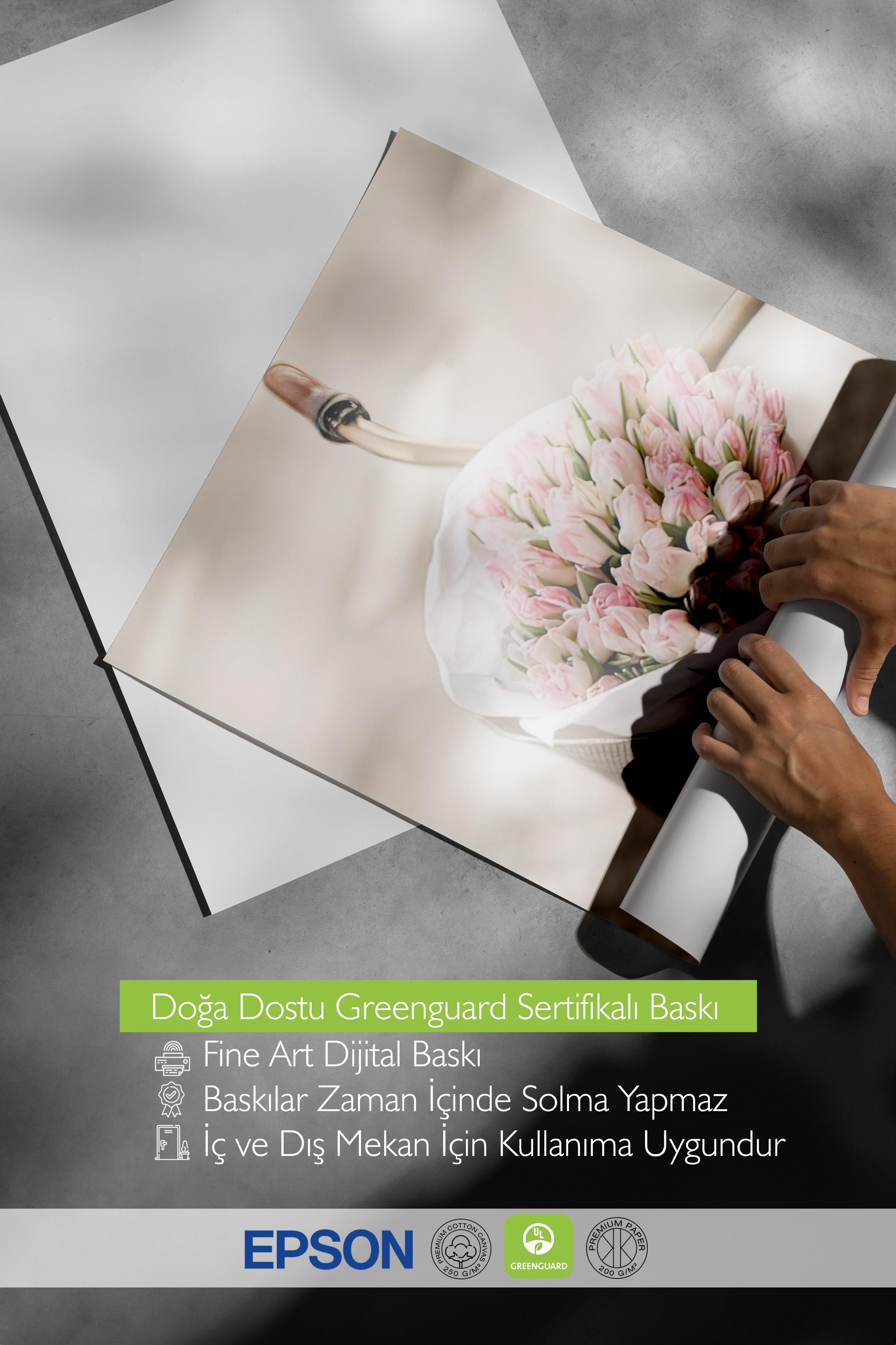 Pink Tulips on Bicycle Poster, Dikey Duvar Tablosu Comfort Serisi NO:108387