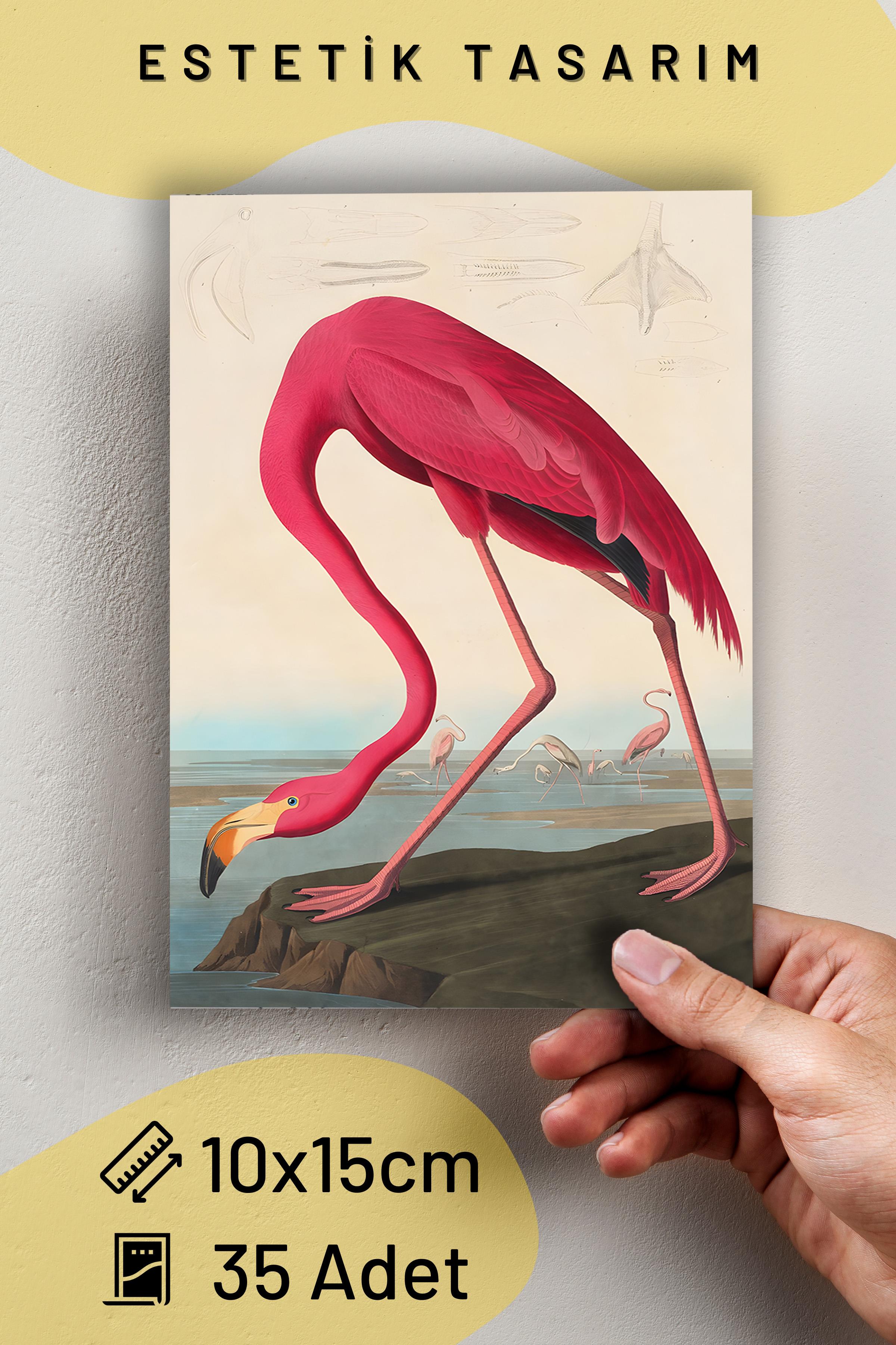 Poster Seti - Karışık Kolaj Poster Seti - 35 Adet Çerçevesiz Poster 10*15cm - Yapışkan Hediyeli