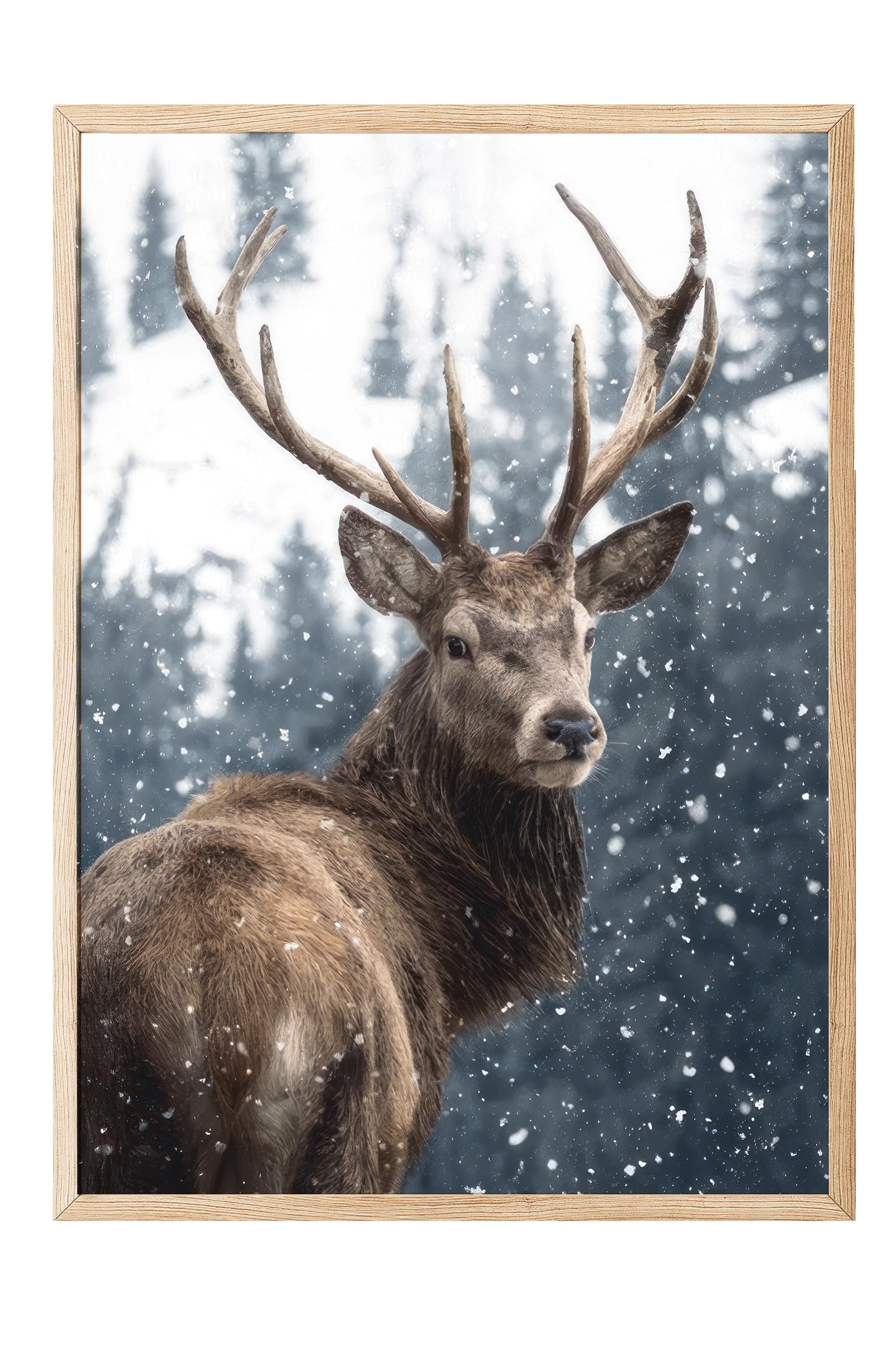 Red Deer in Snow Çerçeveli Yılbaşı Tablosu, Ahşap Çerçeve ve Poster Comfort Serisi NO:108508