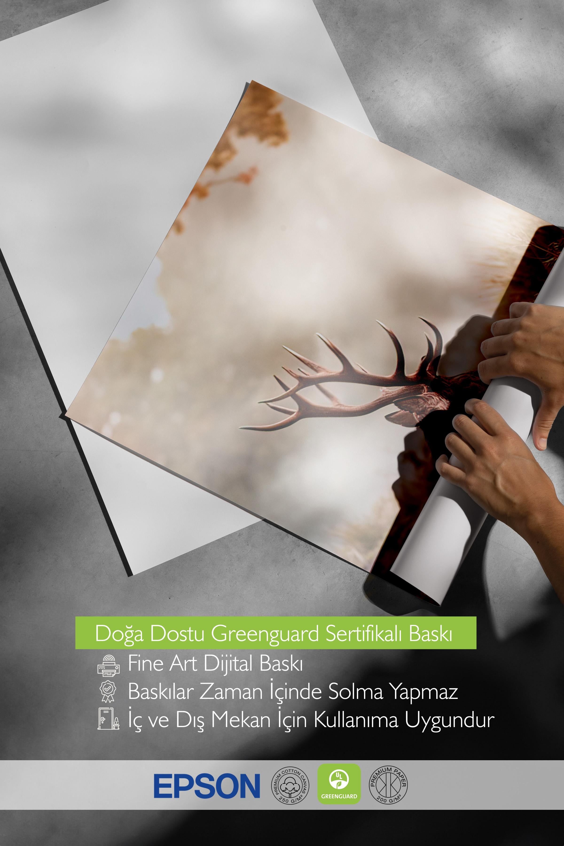 Red Deer Poster, Çerçevesiz Duvar Posteri, Dikey Duvar Tablosu Comfort Serisi NO:108351