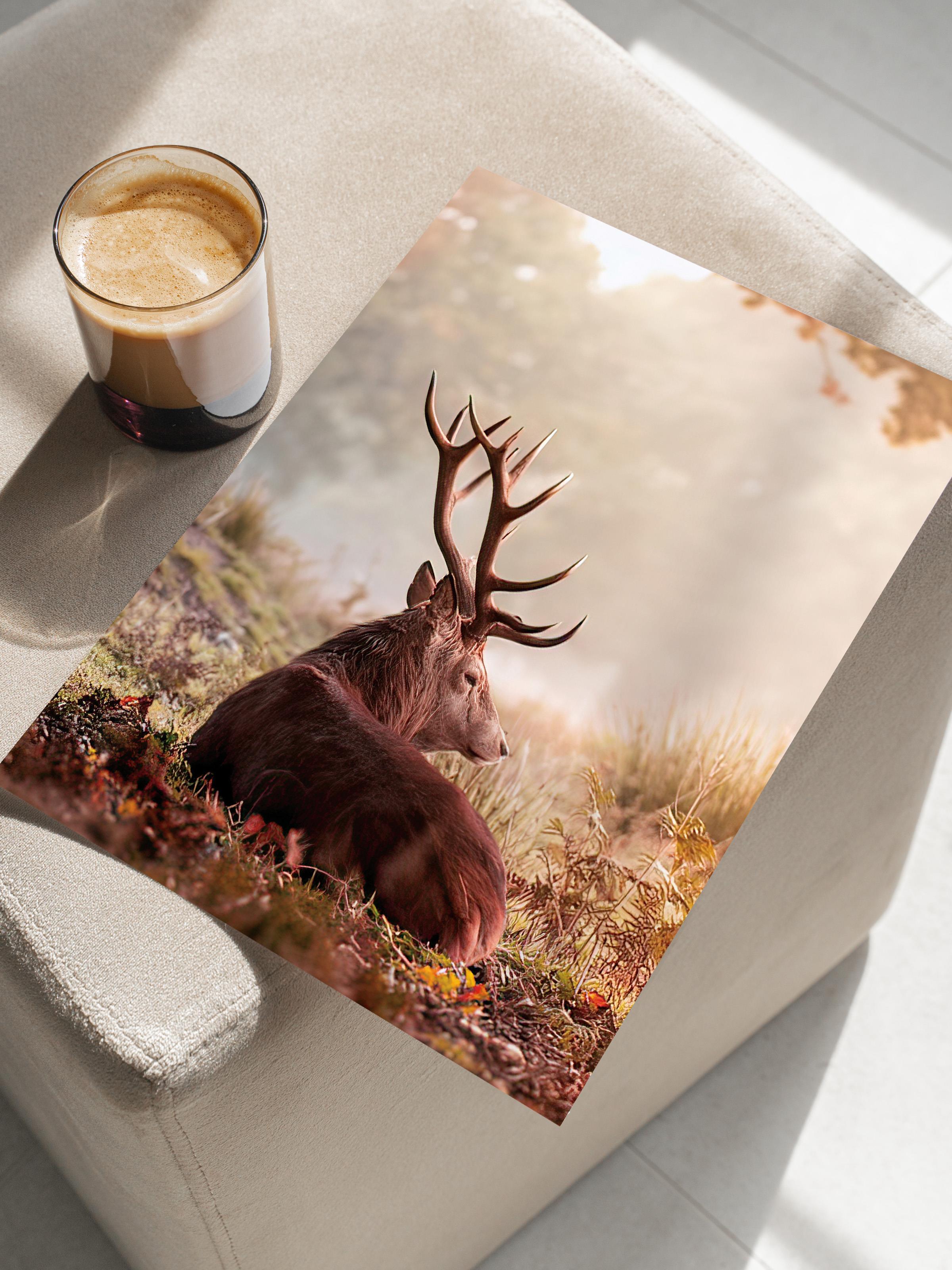 Red Deer Poster, Çerçevesiz Duvar Posteri, Dikey Duvar Tablosu Comfort Serisi NO:108351