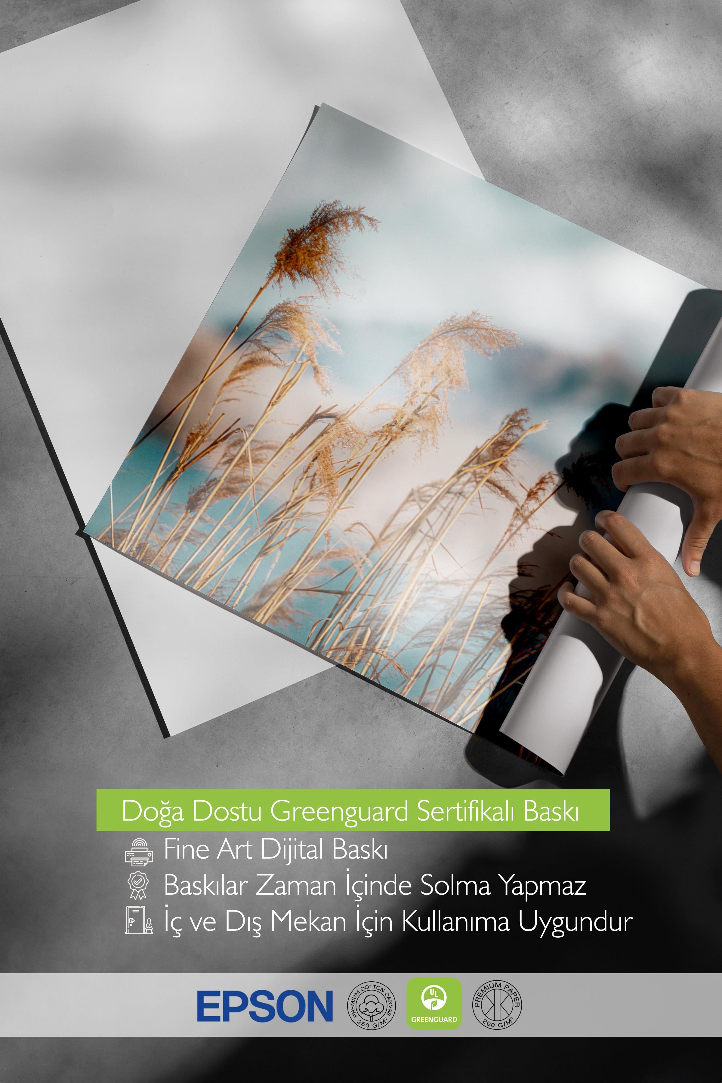 Reeds by the Lake Poster, Çerçevesiz Duvar Posteri, Yatay Duvar Tablosu Comfort Serisi NO:108444