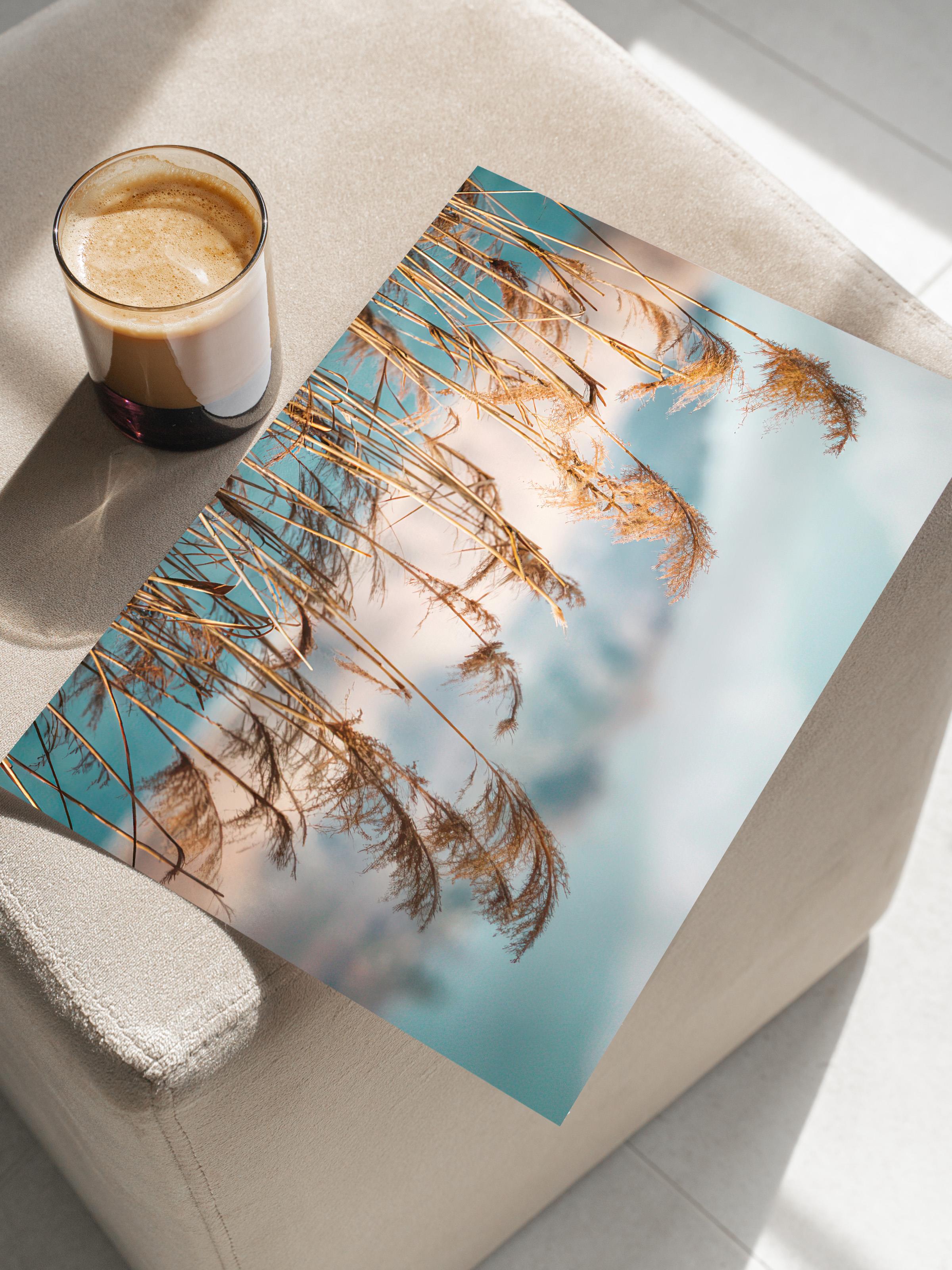 Reeds by the Lake Poster, Çerçevesiz Duvar Posteri, Yatay Duvar Tablosu Comfort Serisi NO:108444