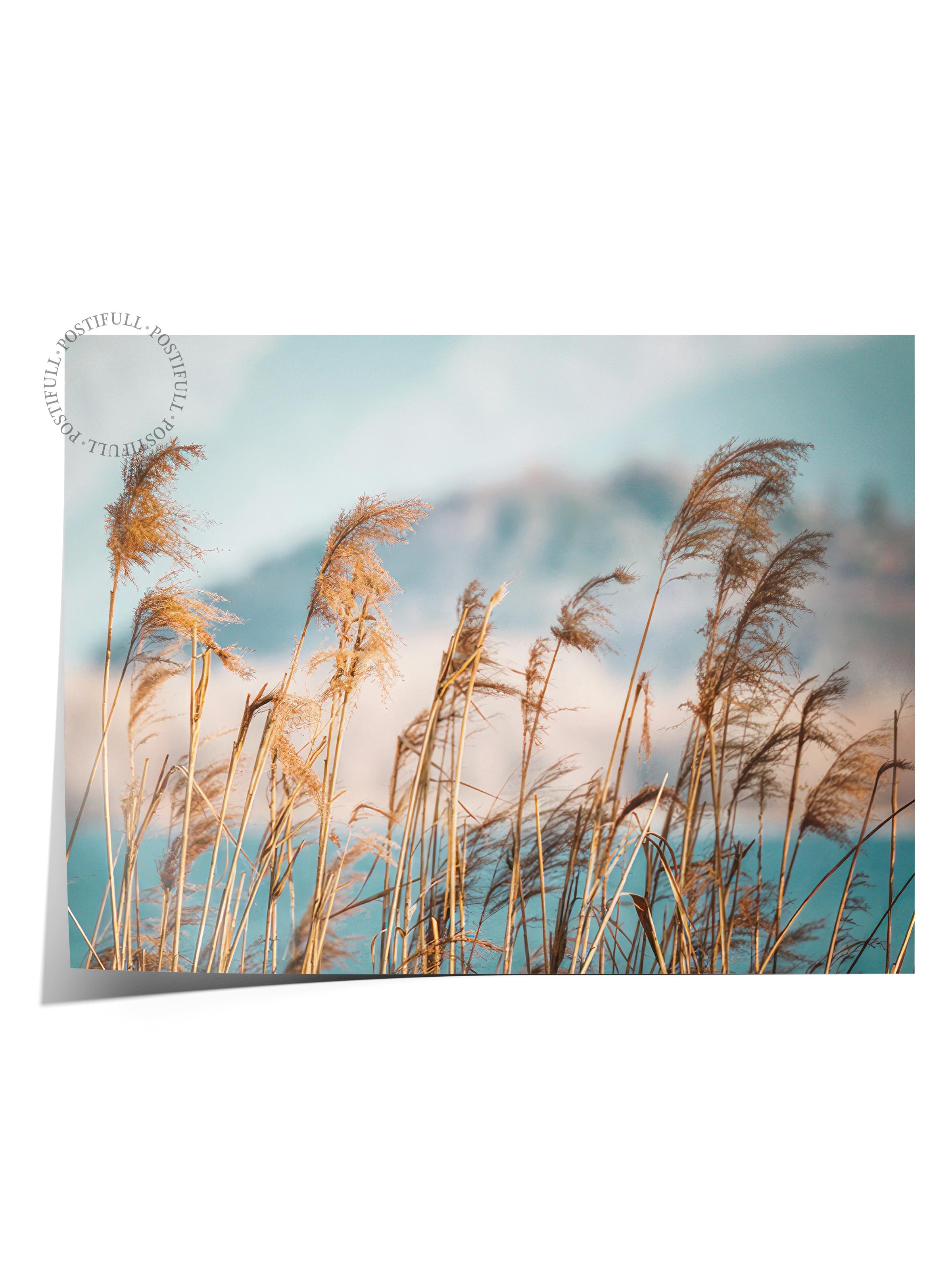 Reeds by the Lake Poster, Çerçevesiz Duvar Posteri, Yatay Duvar Tablosu Comfort Serisi NO:108444