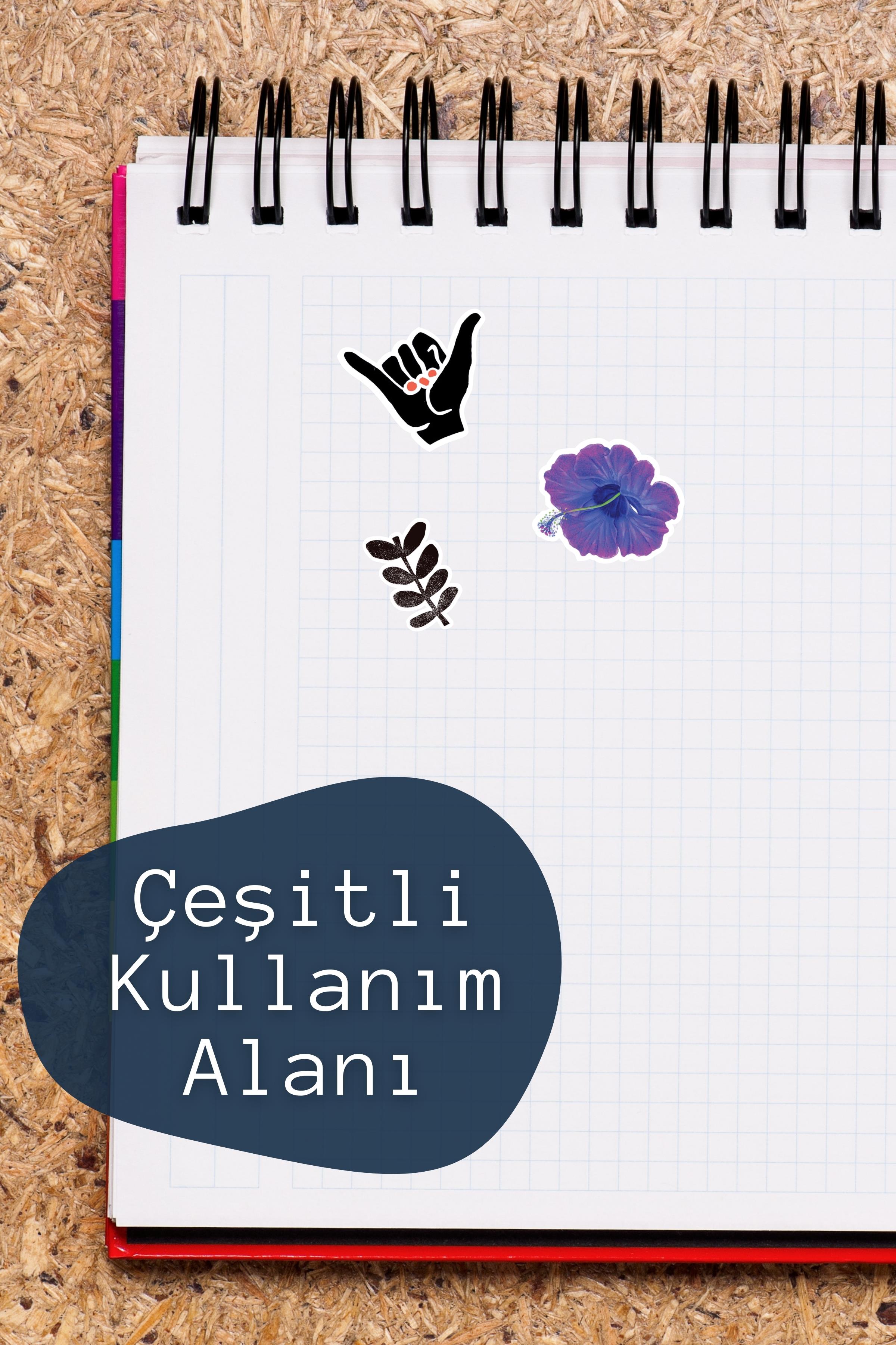 Renkli Botanik Etiket Seti, Büyük Boy, 13 Adet Su Geçirmez, Vintage Sticker, Laptop, Telefon, Valiz Uyumlu