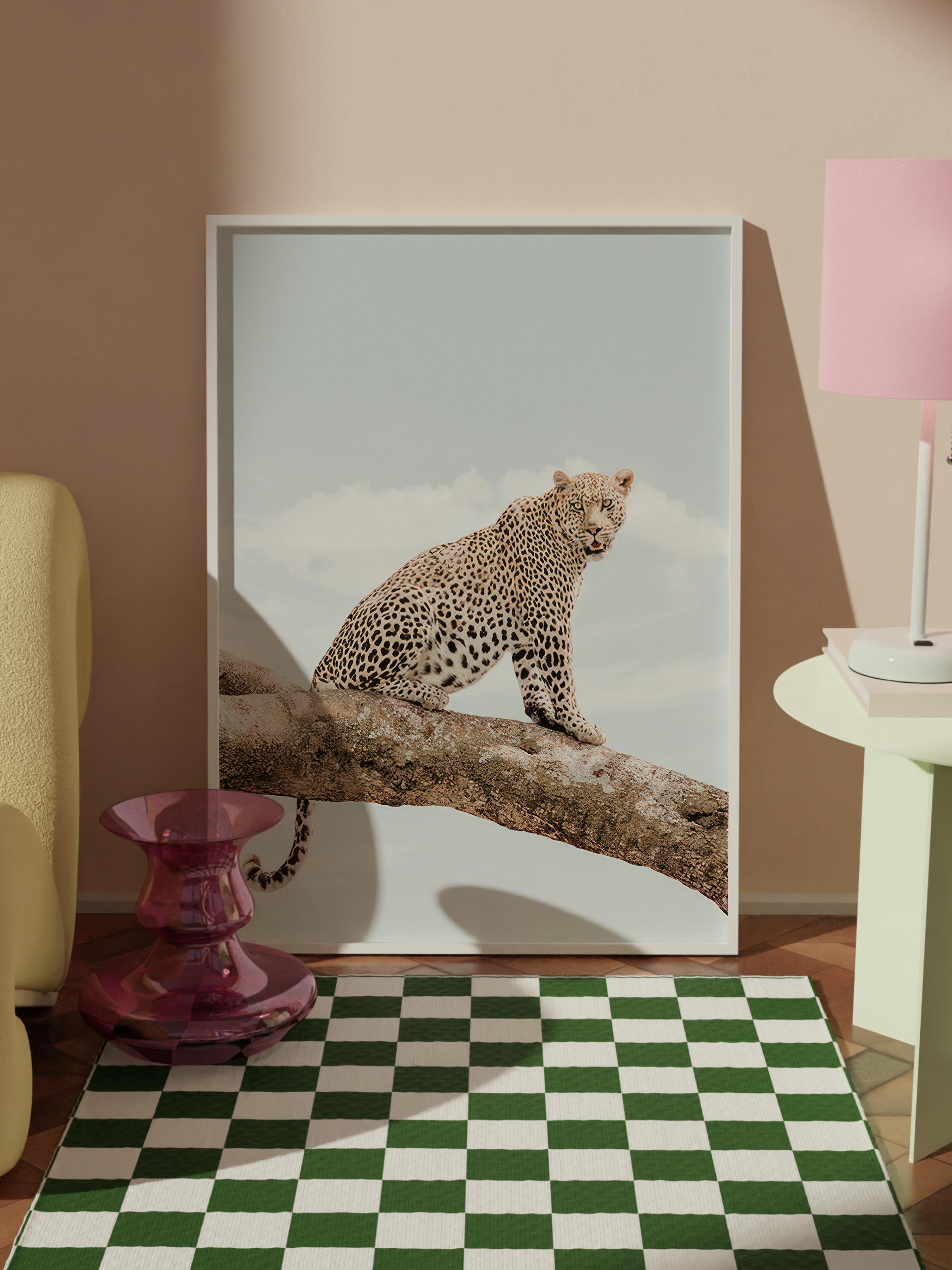 Resting Leopard Çerçeveli Tablo, Beyaz Çerçeve ve Poster, Duvar Tablosu Comfort Serisi NO:108465