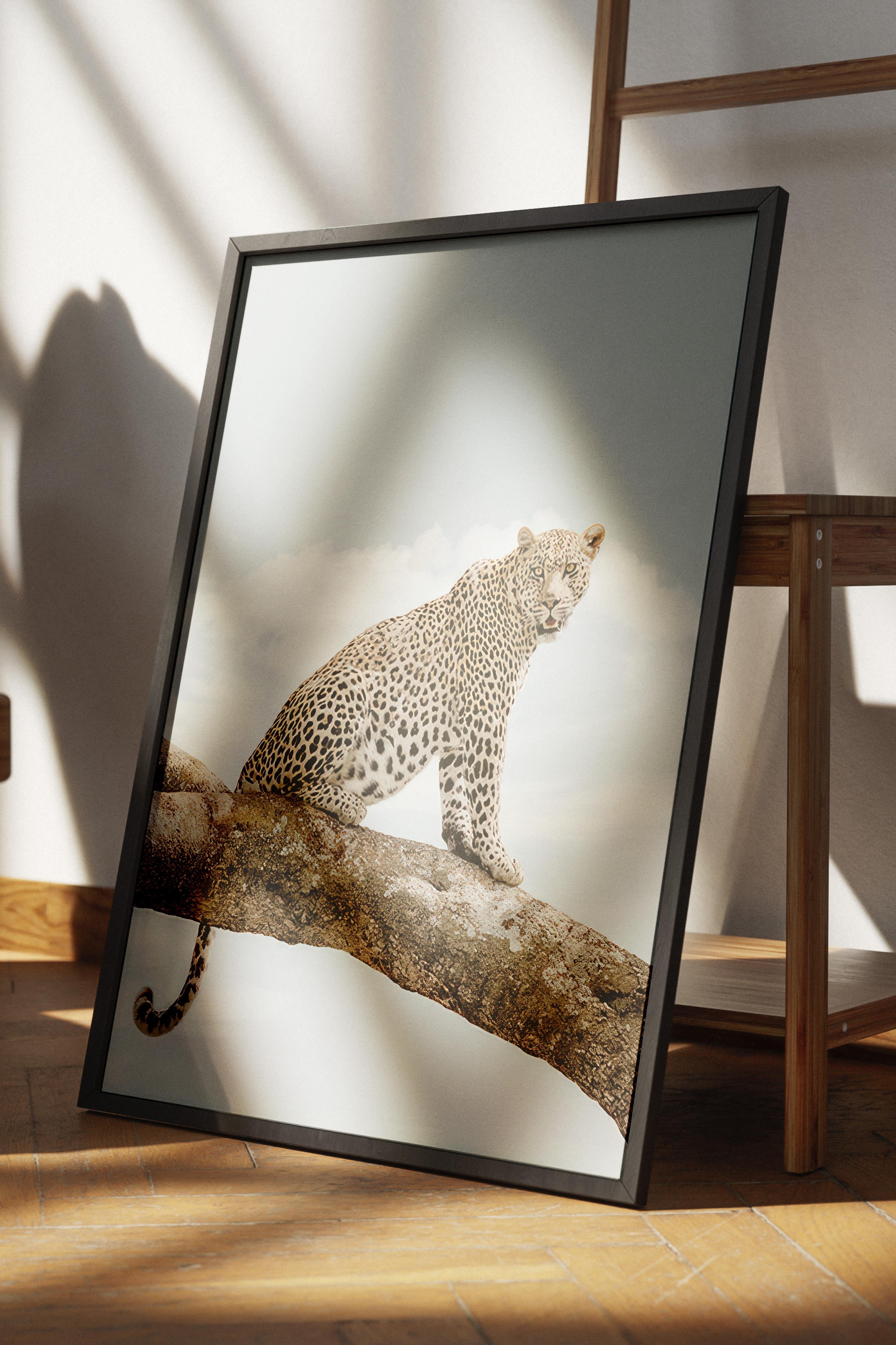 Resting Leopard Çerçeveli Tablo, Siyah Çerçeve ve Poster, Duvar Tablosu Comfort Serisi NO:108465