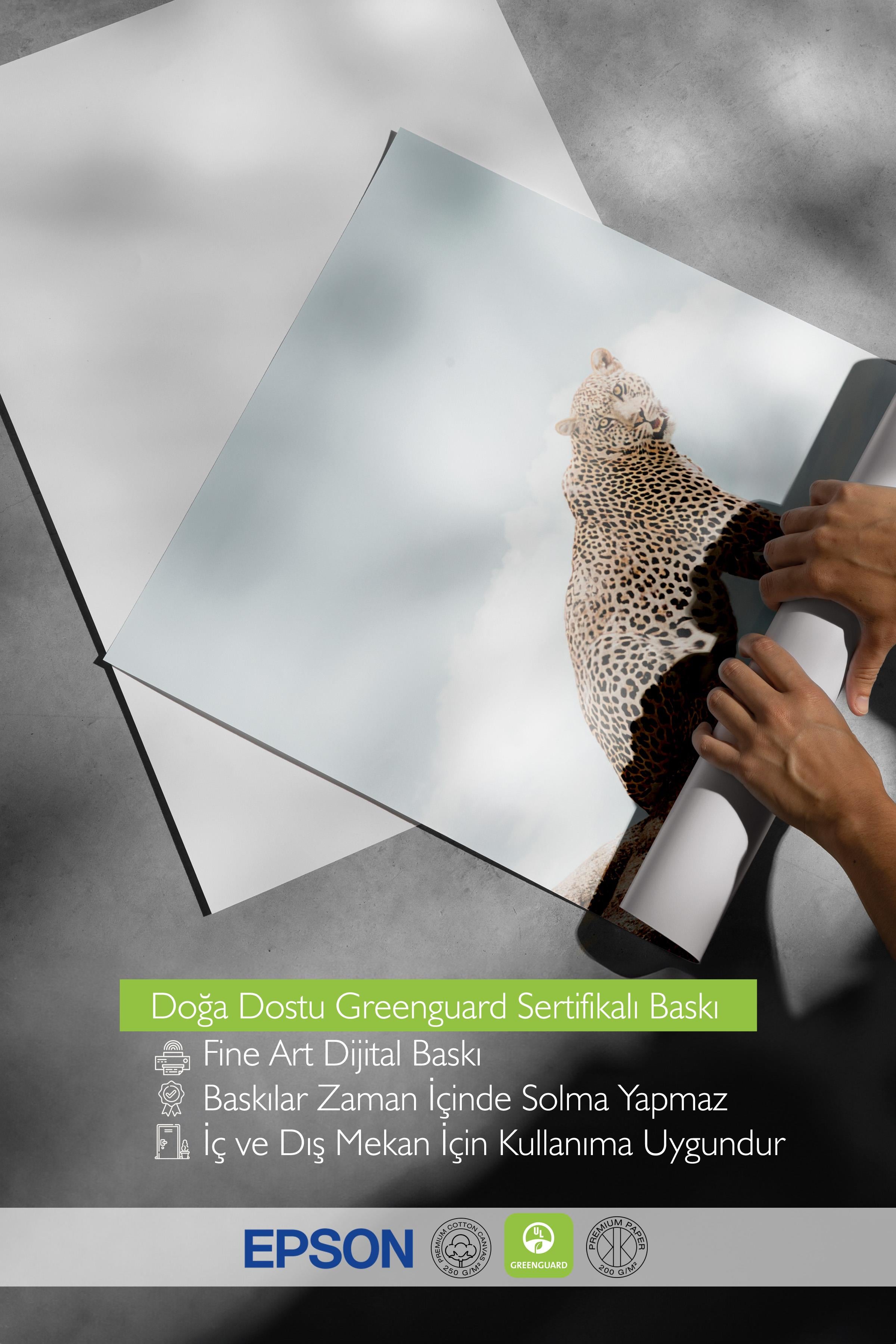 Resting Leopard Poster, Çerçevesiz Duvar Posteri, Dikey Duvar Tablosu Comfort Serisi NO:108465