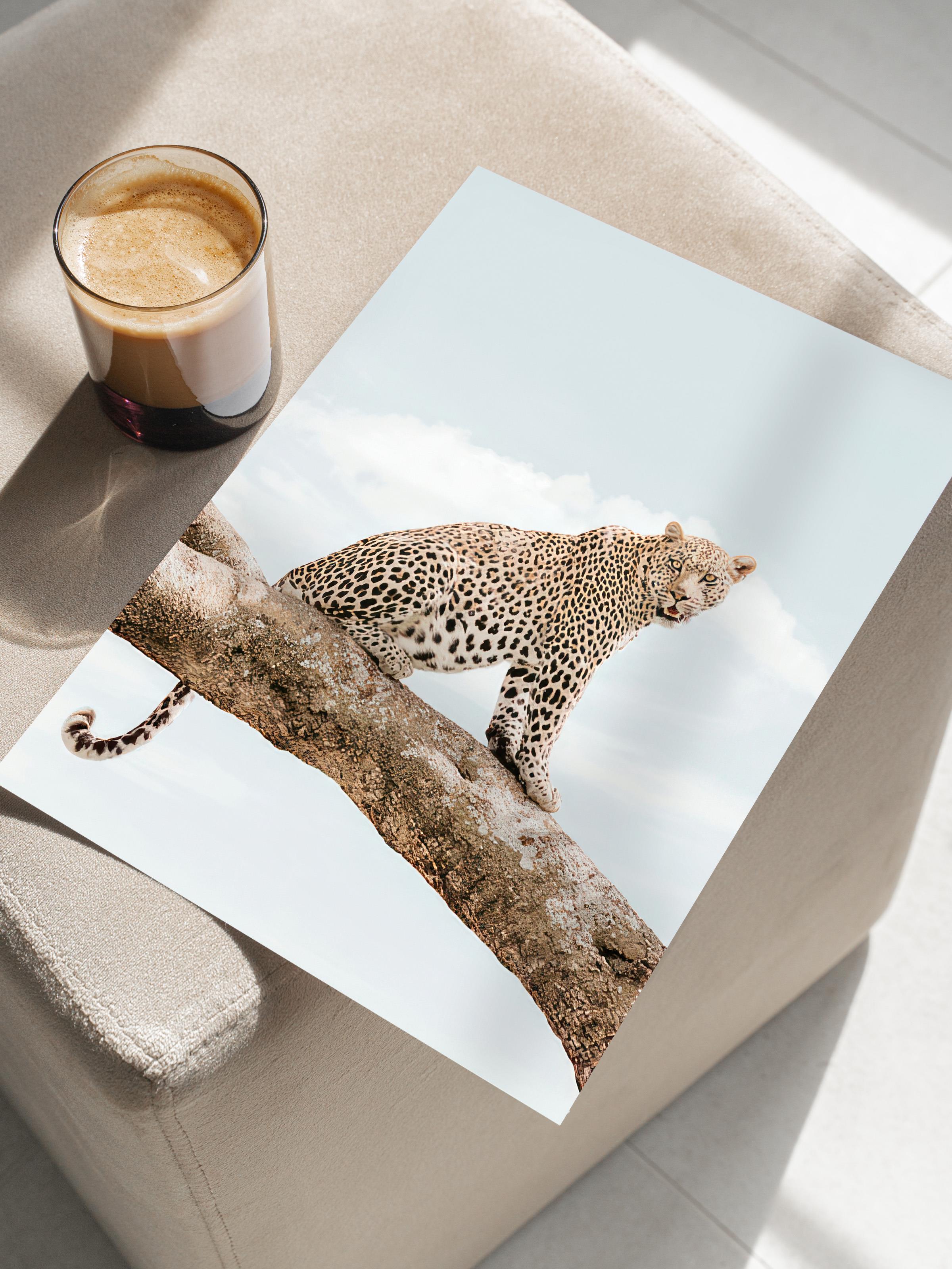 Resting Leopard Poster, Çerçevesiz Duvar Posteri, Dikey Duvar Tablosu Comfort Serisi NO:108465