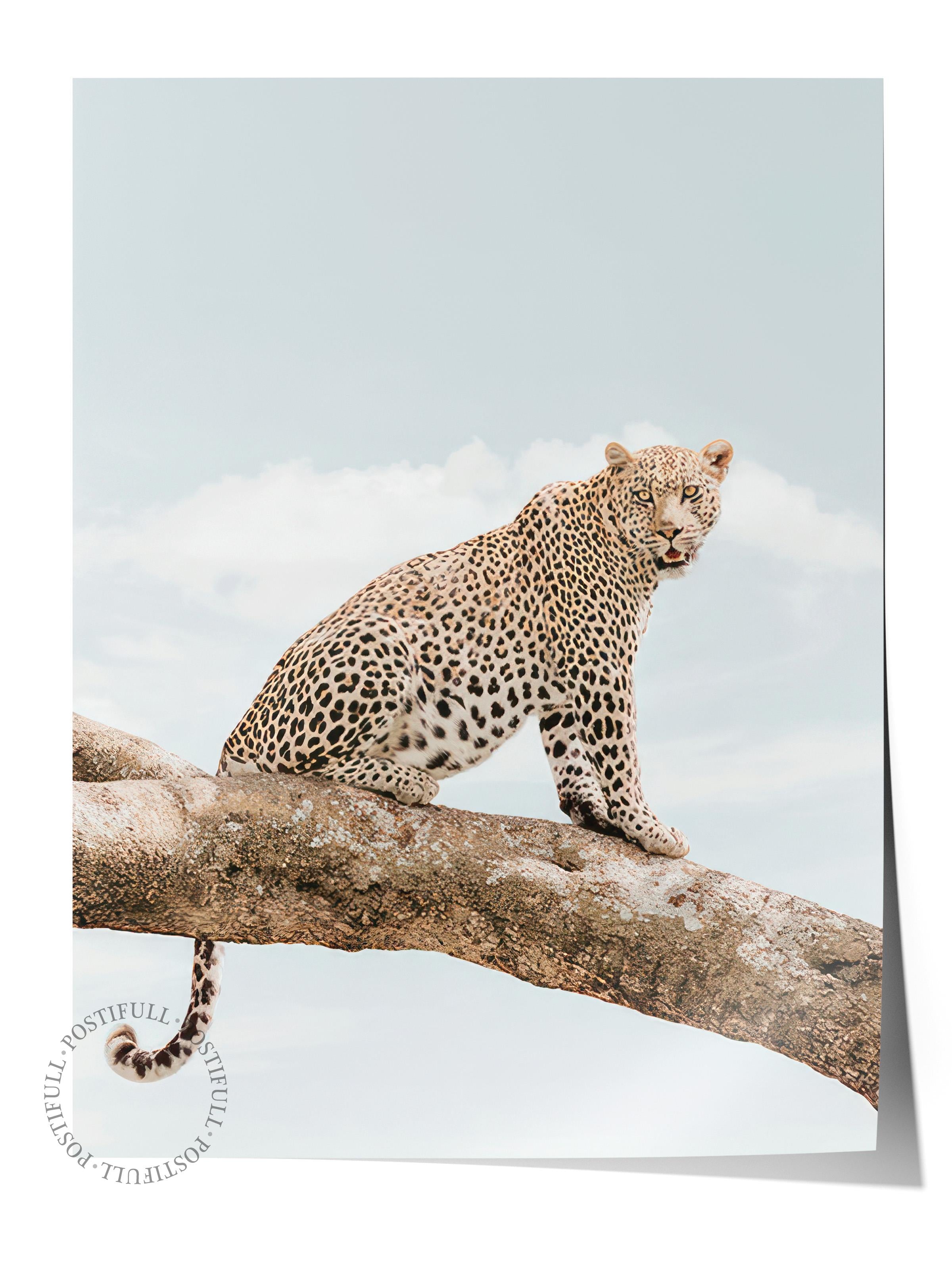 Resting Leopard Poster, Çerçevesiz Duvar Posteri, Dikey Duvar Tablosu Comfort Serisi NO:108465
