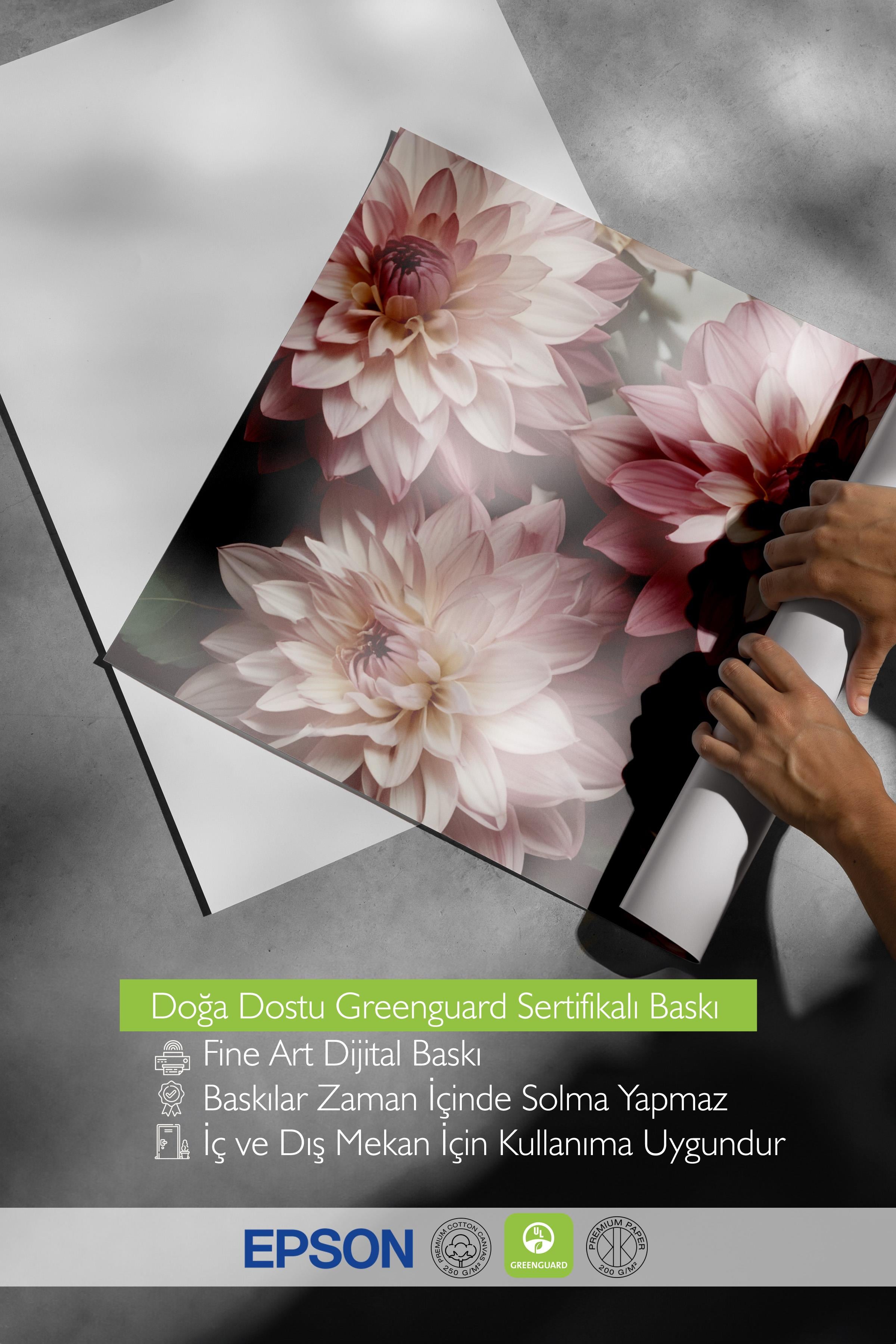 Romantic Dahlias Poster, Çerçevesiz Duvar Posteri, Dikey Duvar Tablosu Comfort Serisi NO:108533