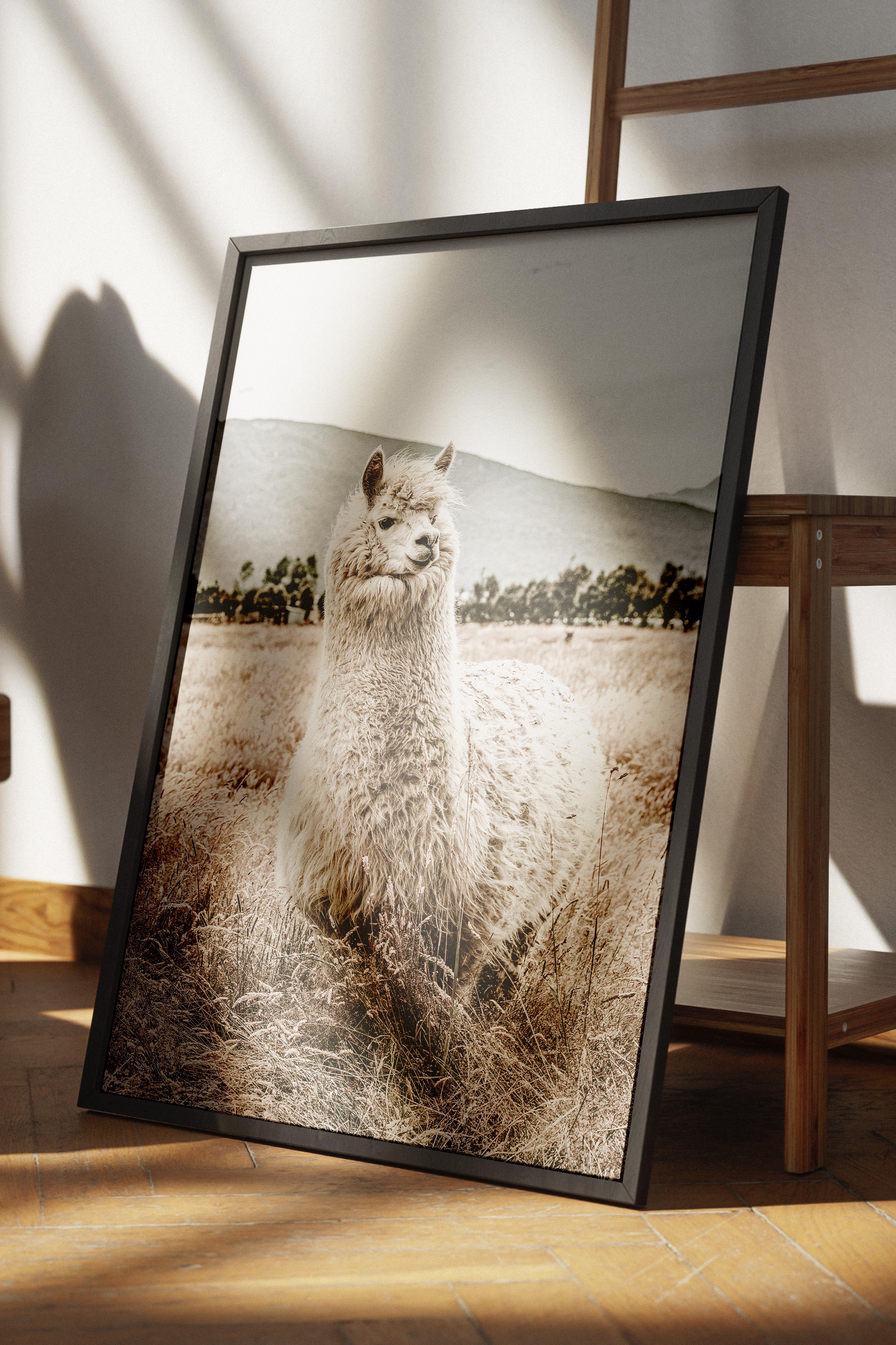 Rustic Çerçevesiz Poster, İskandinav Beyaz Poster, NO:276 Alpaka Fotoğraf, Dikey
