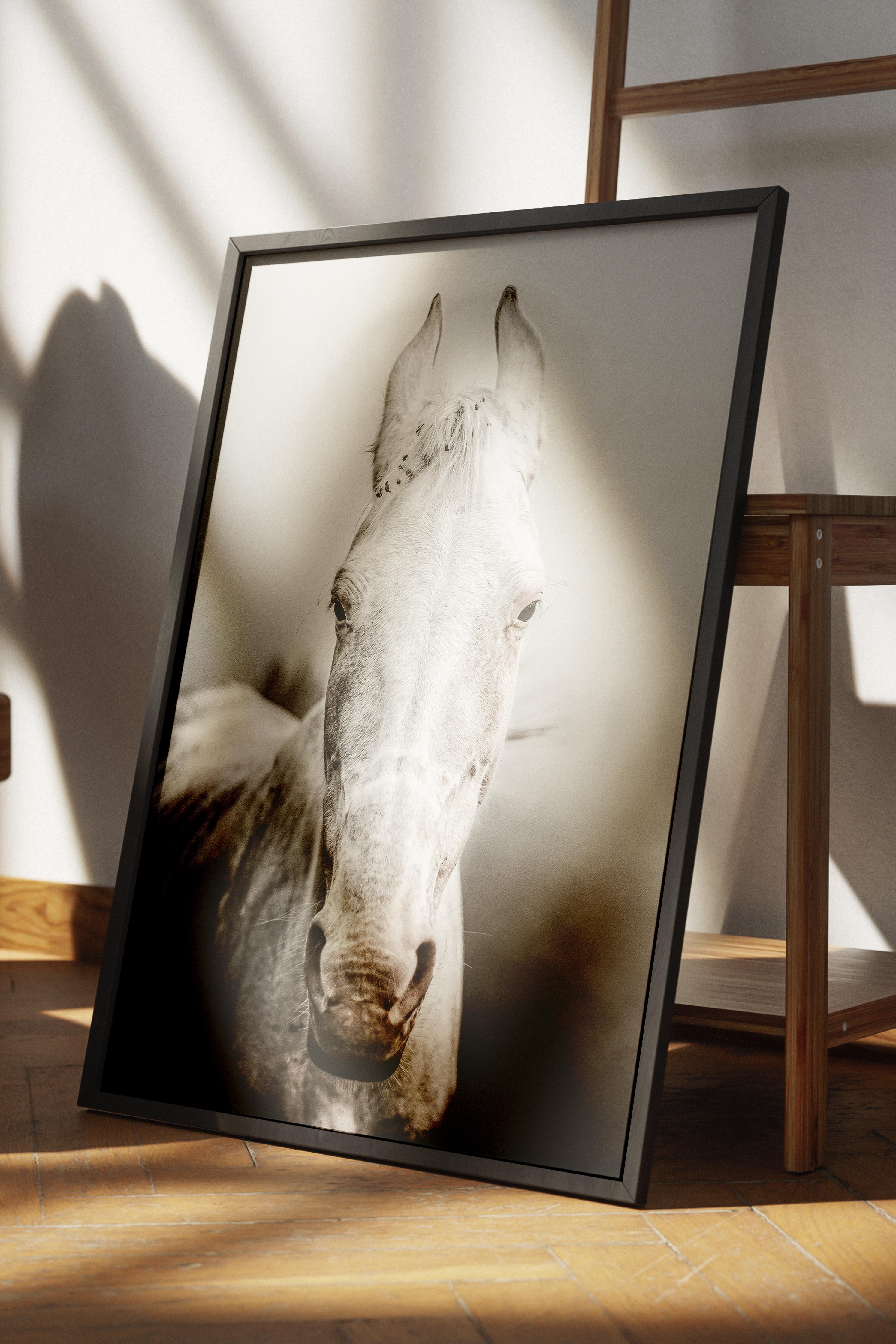 Rustic Çerçevesiz Poster, İskandinav Beyaz Poster, NO:299 At Fotoğraf, Dikey