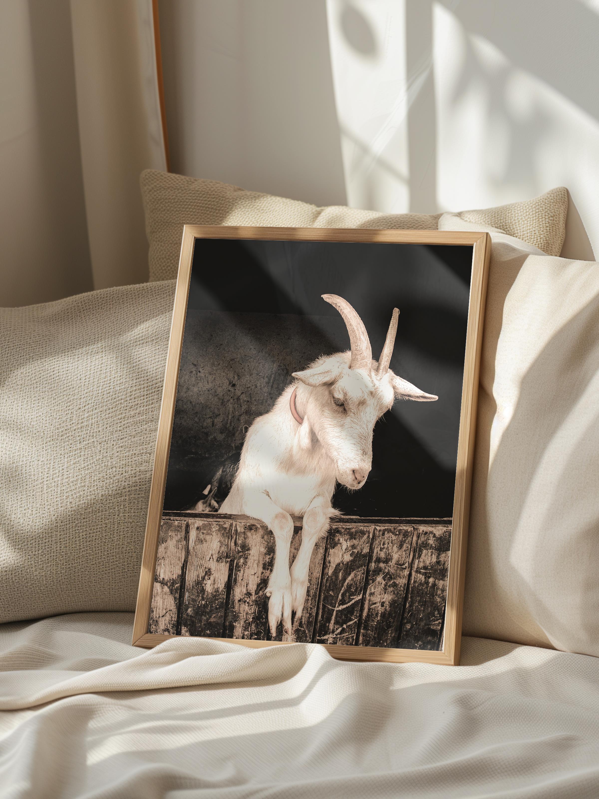Rustic Çerçevesiz Poster, İskandinav Beyaz Poster, NO:301 Keçi Fotoğraf, Dikey