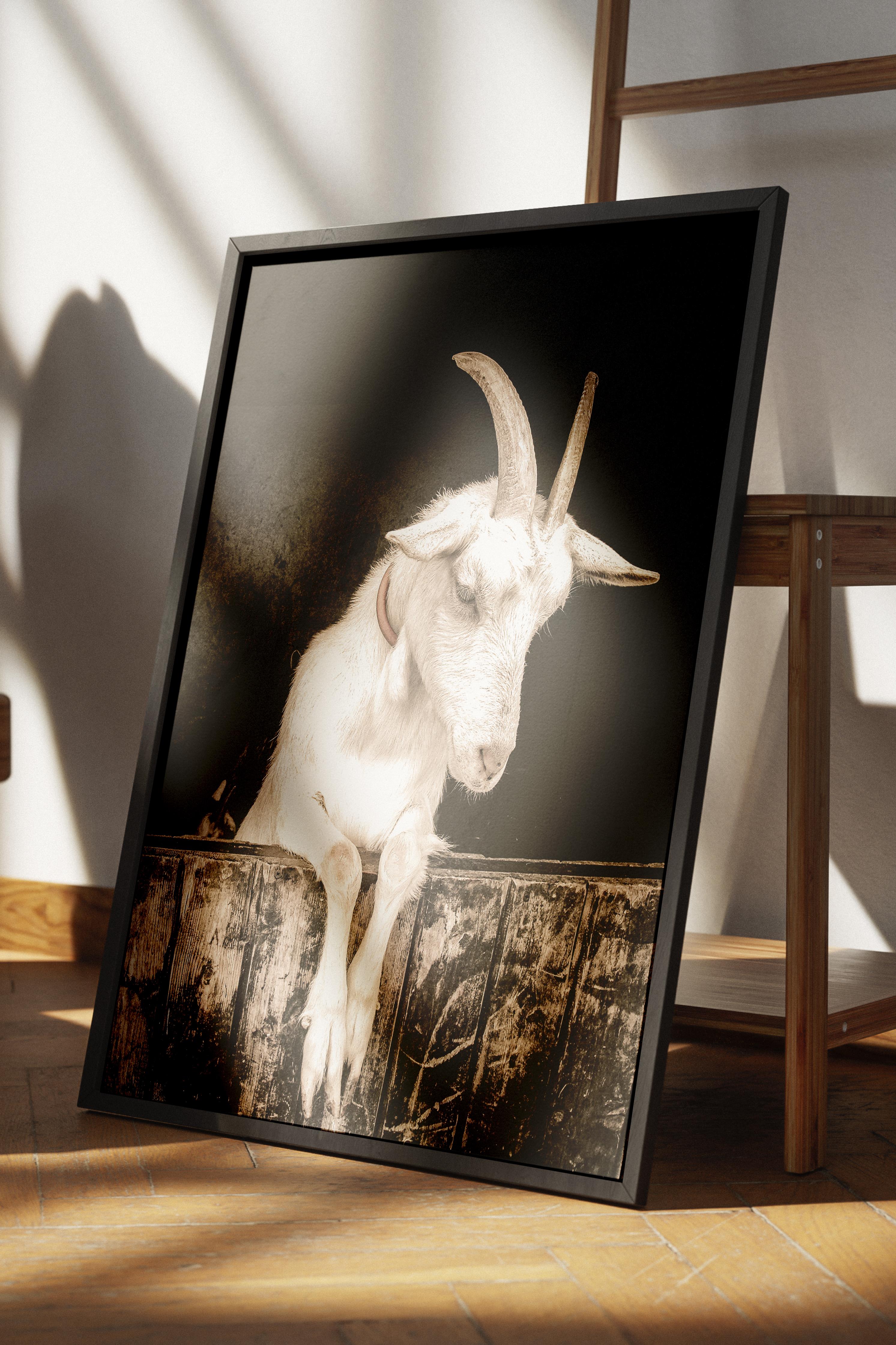 Rustic Çerçevesiz Poster, İskandinav Beyaz Poster, NO:301 Keçi Fotoğraf, Dikey