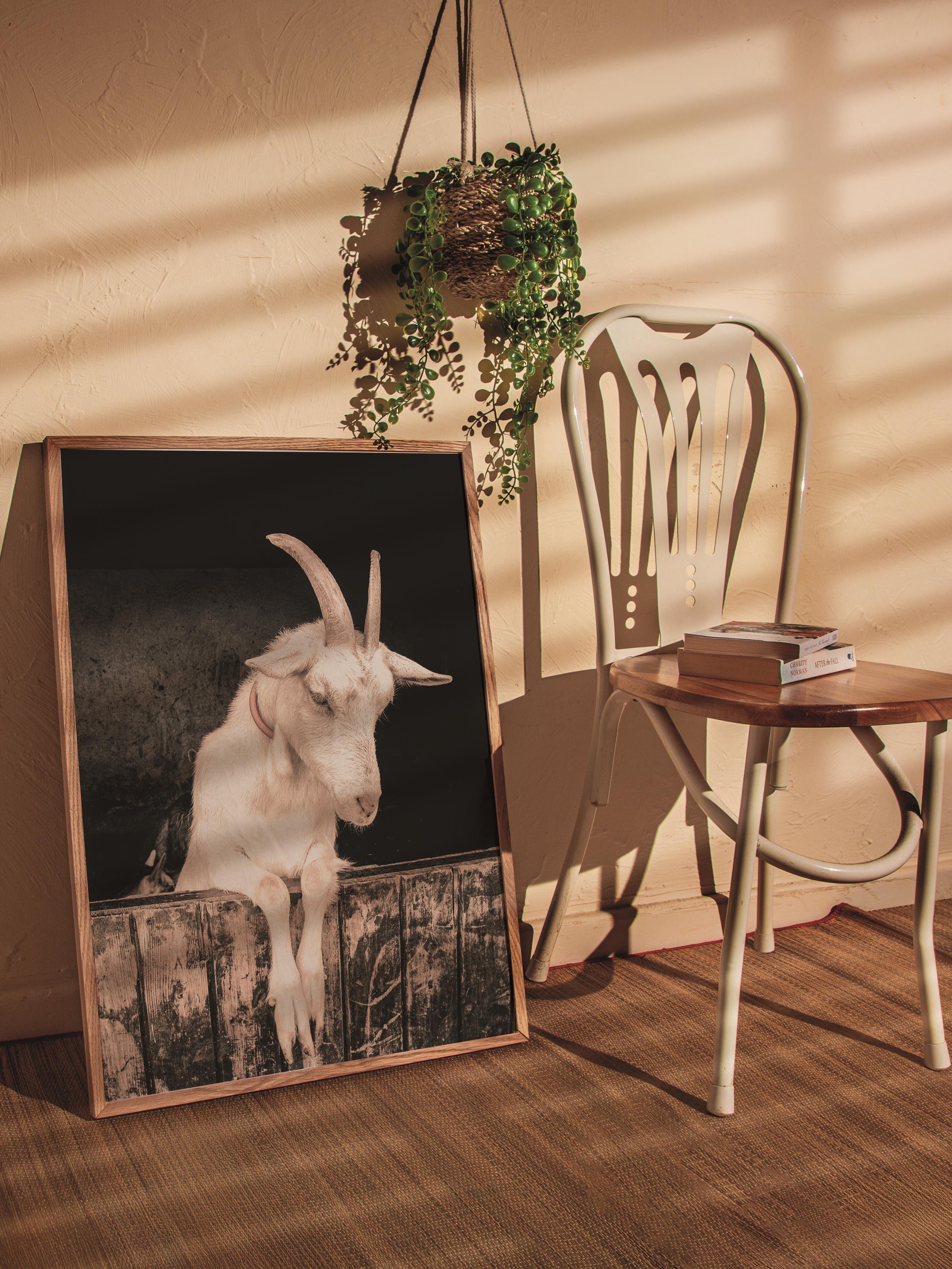 Rustic Çerçevesiz Poster, İskandinav Beyaz Poster, NO:301 Keçi Fotoğraf, Dikey