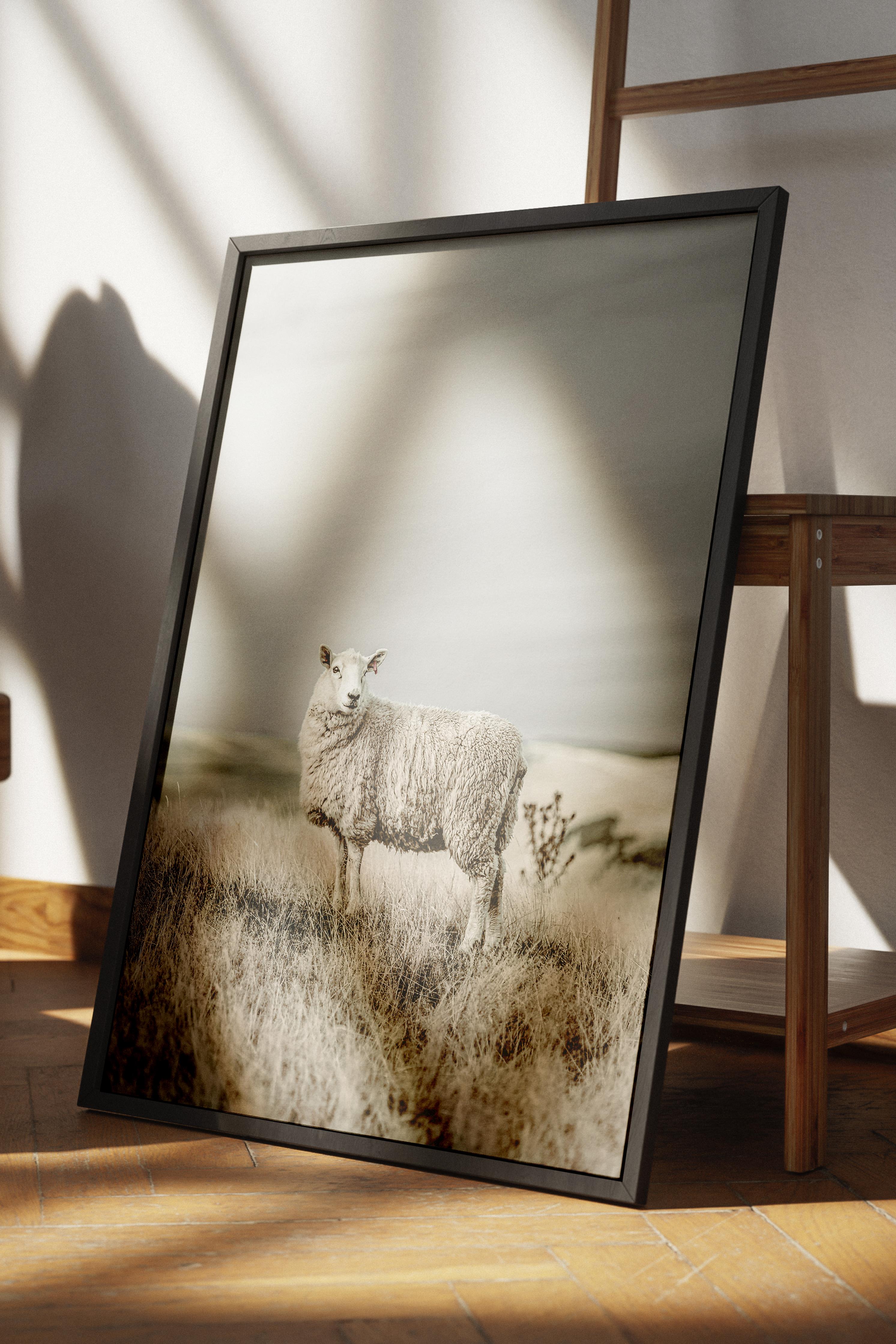 Rustic Çerçevesiz Poster, İskandinav Beyaz Poster, NO:302 Bufalo Fotoğraf, Dikey