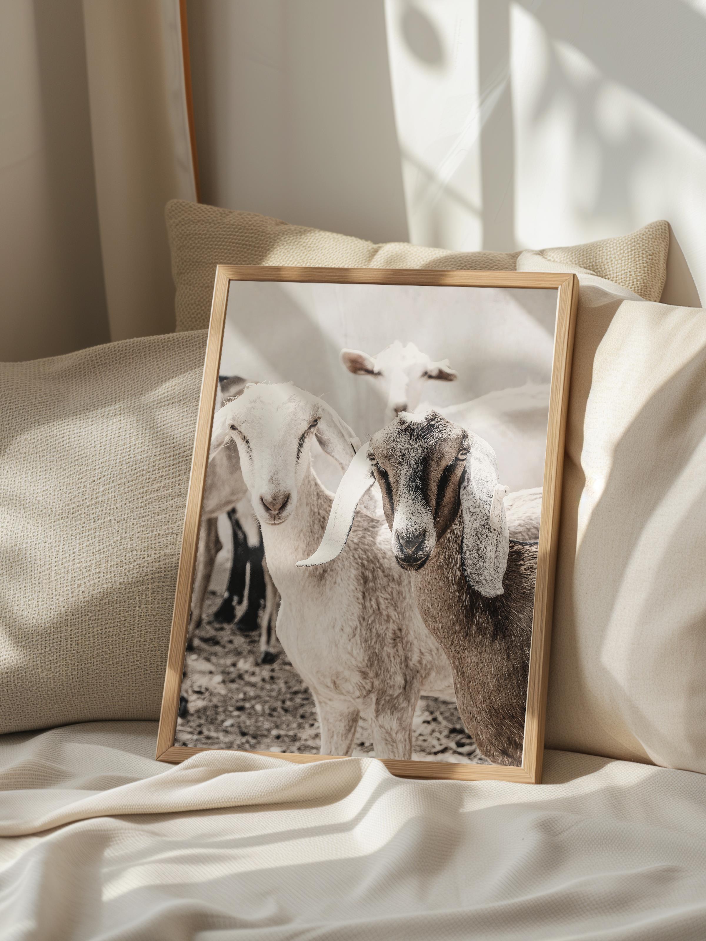 Rustic Çerçevesiz Poster, İskandinav Beyaz Poster, NO:305 İnekler Fotoğraf, Dikey
