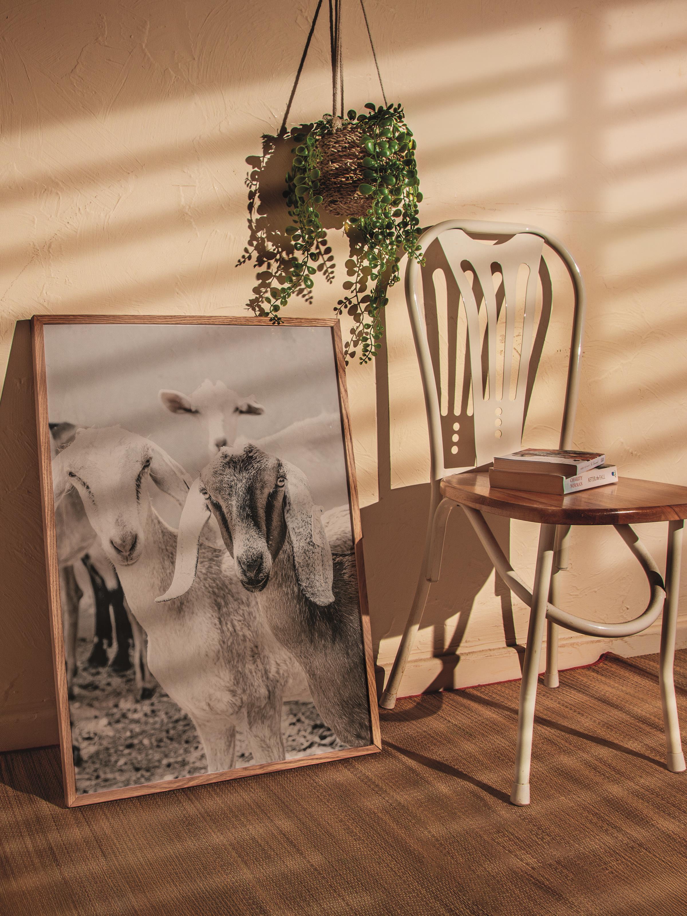 Rustic Çerçevesiz Poster, İskandinav Beyaz Poster, NO:305 İnekler Fotoğraf, Dikey