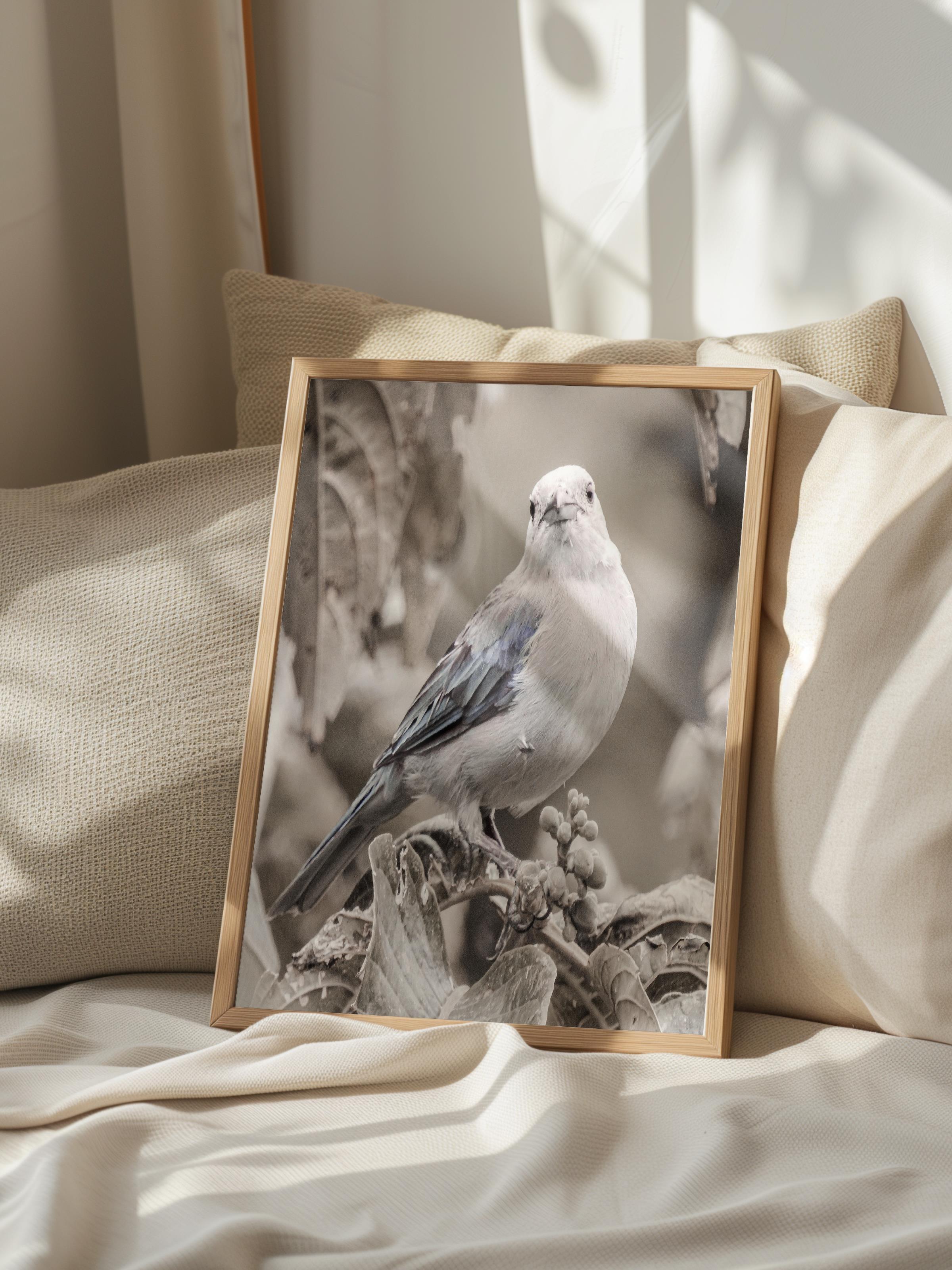 Rustic Çerçevesiz Poster, İskandinav Beyaz Poster, NO:325 Kuş Fotoğraf, Dikey