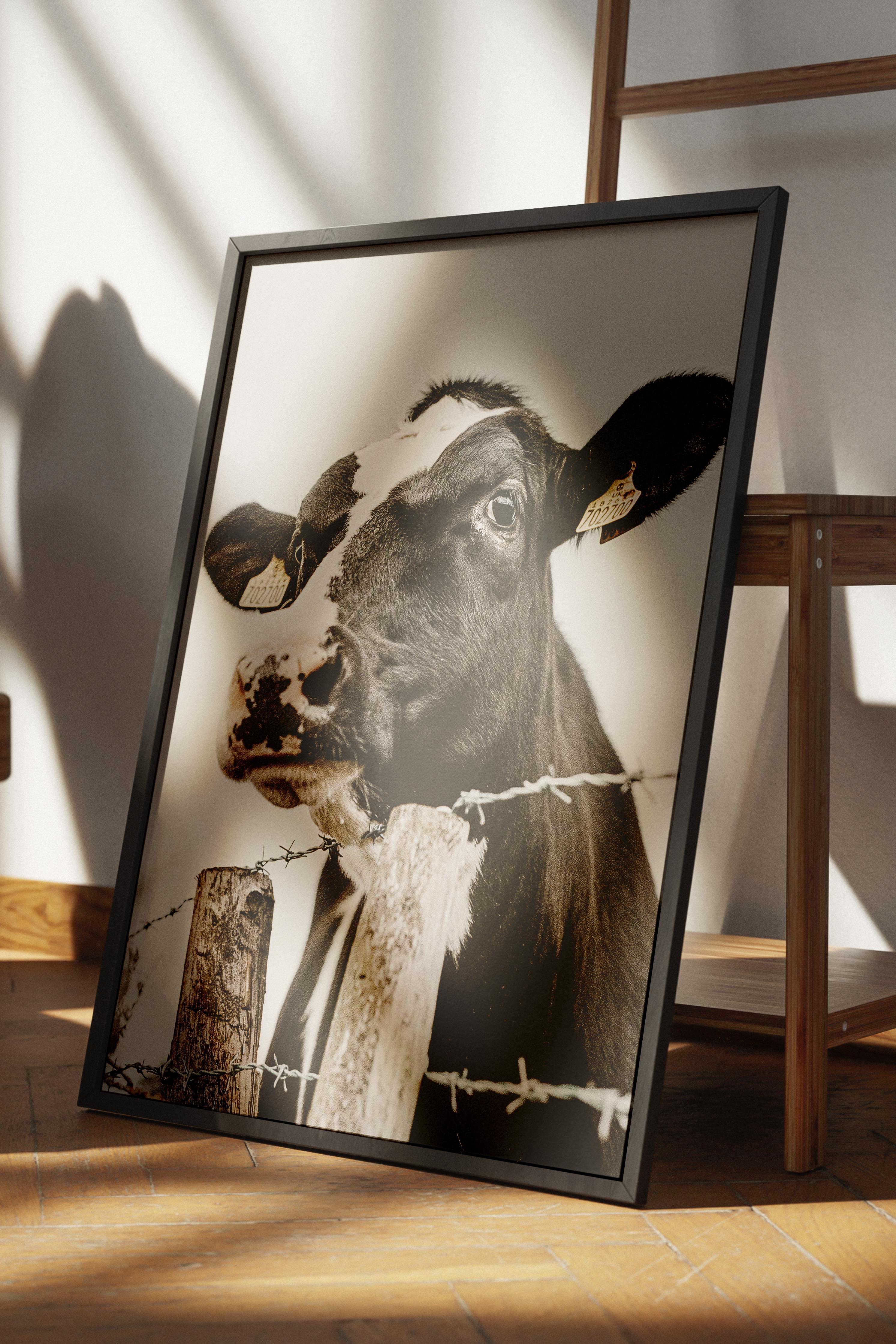 Rustic Çerçevesiz Poster, İskandinav Beyaz Poster, NO:328 İnek Fotoğraf, Dikey