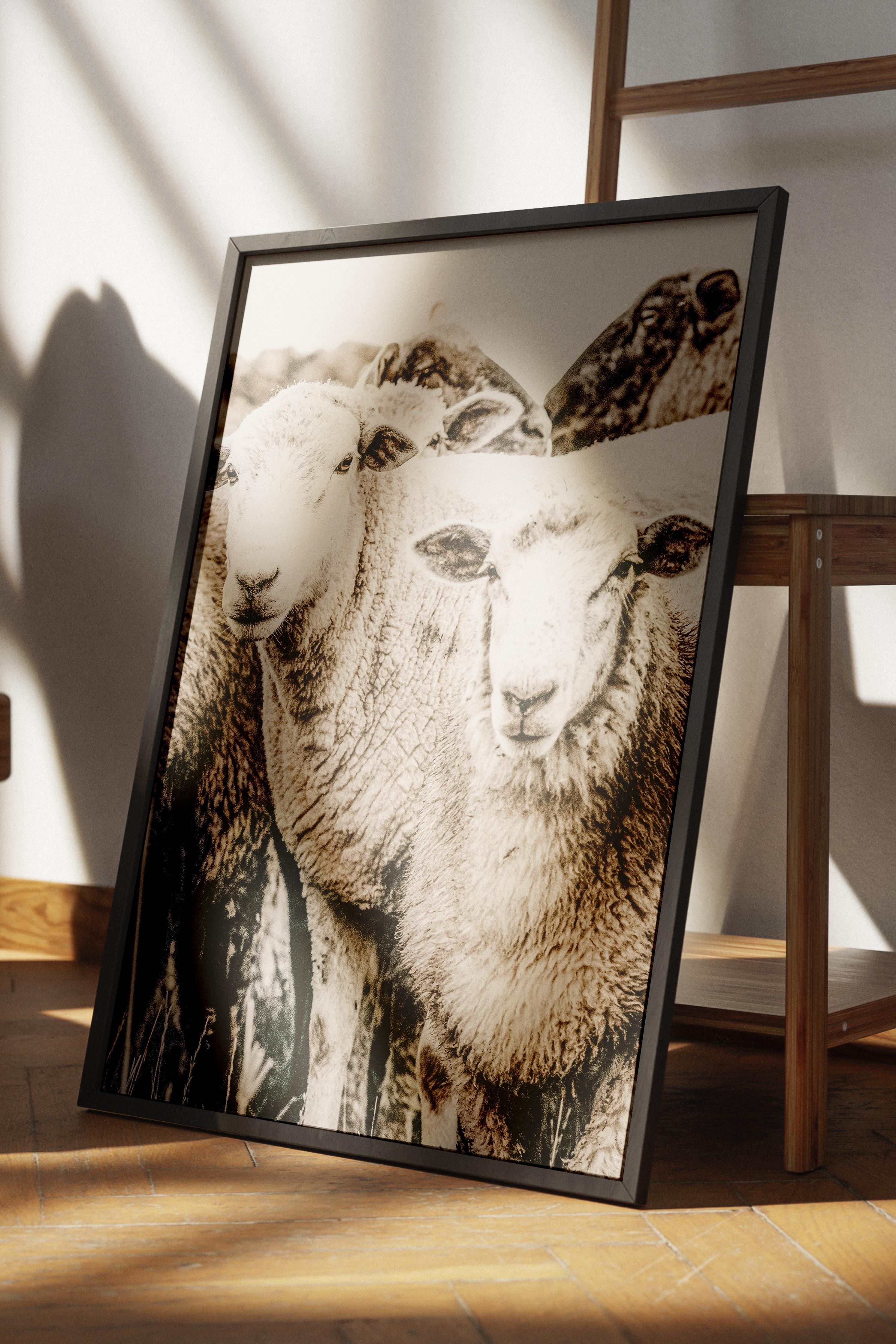 Rustic Çerçevesiz Poster, İskandinav Beyaz Poster, NO:329 Koyunlar Fotoğraf, Dikey