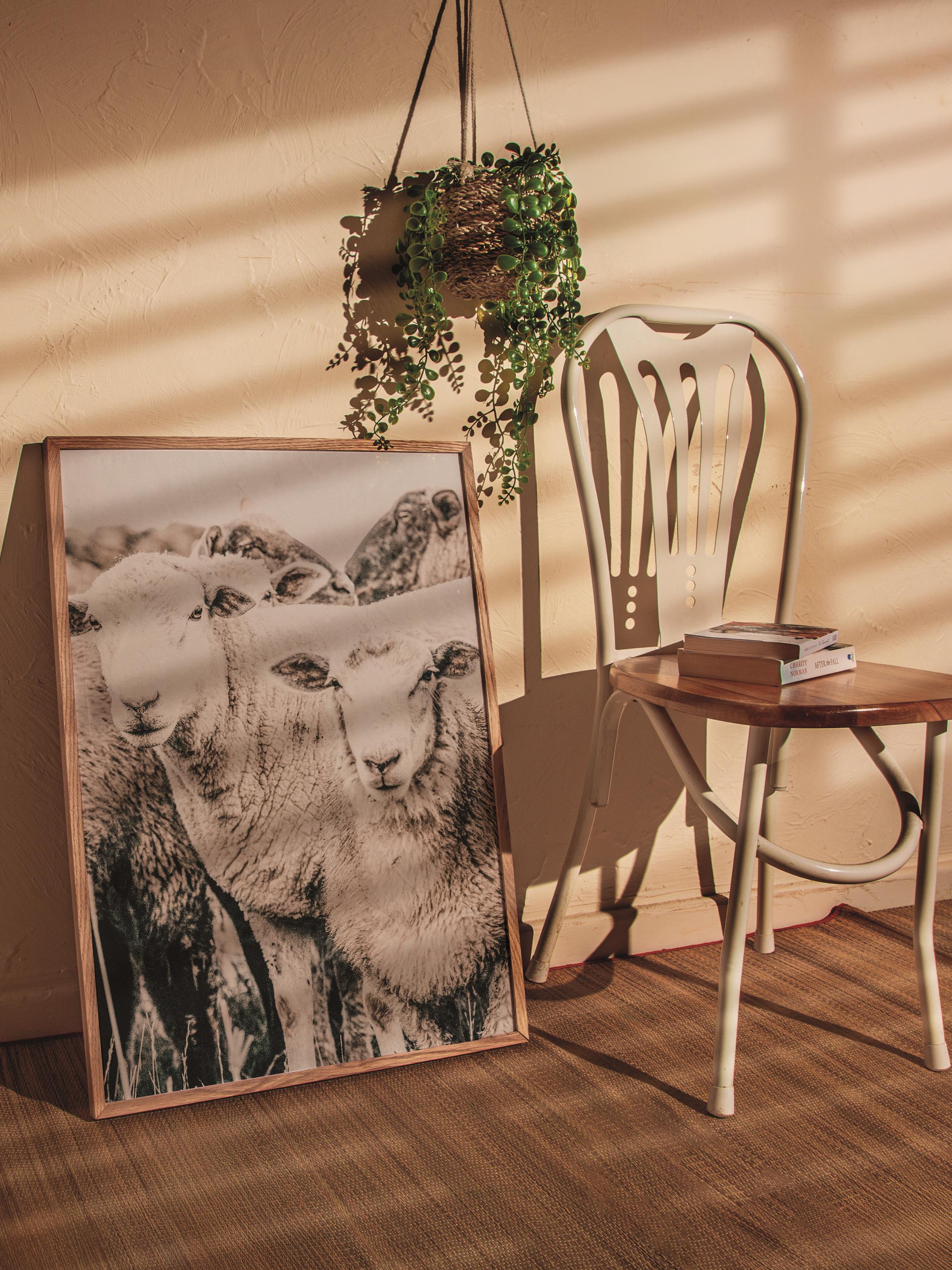 Rustic Çerçevesiz Poster, İskandinav Beyaz Poster, NO:329 Koyunlar Fotoğraf, Dikey