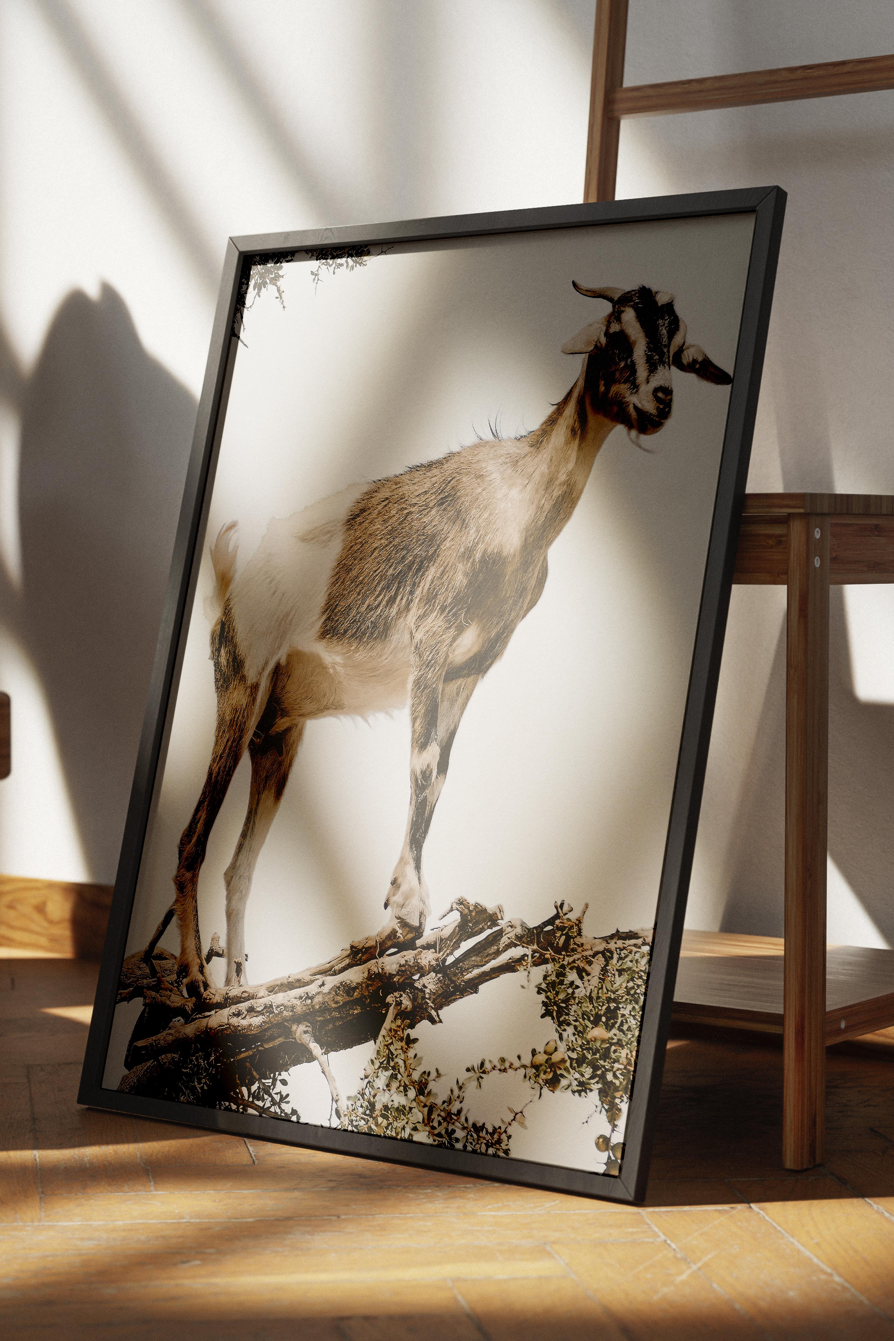 Rustic Çerçevesiz Poster, İskandinav Beyaz Poster, NO:334 Keçi Fotoğraf, Dikey