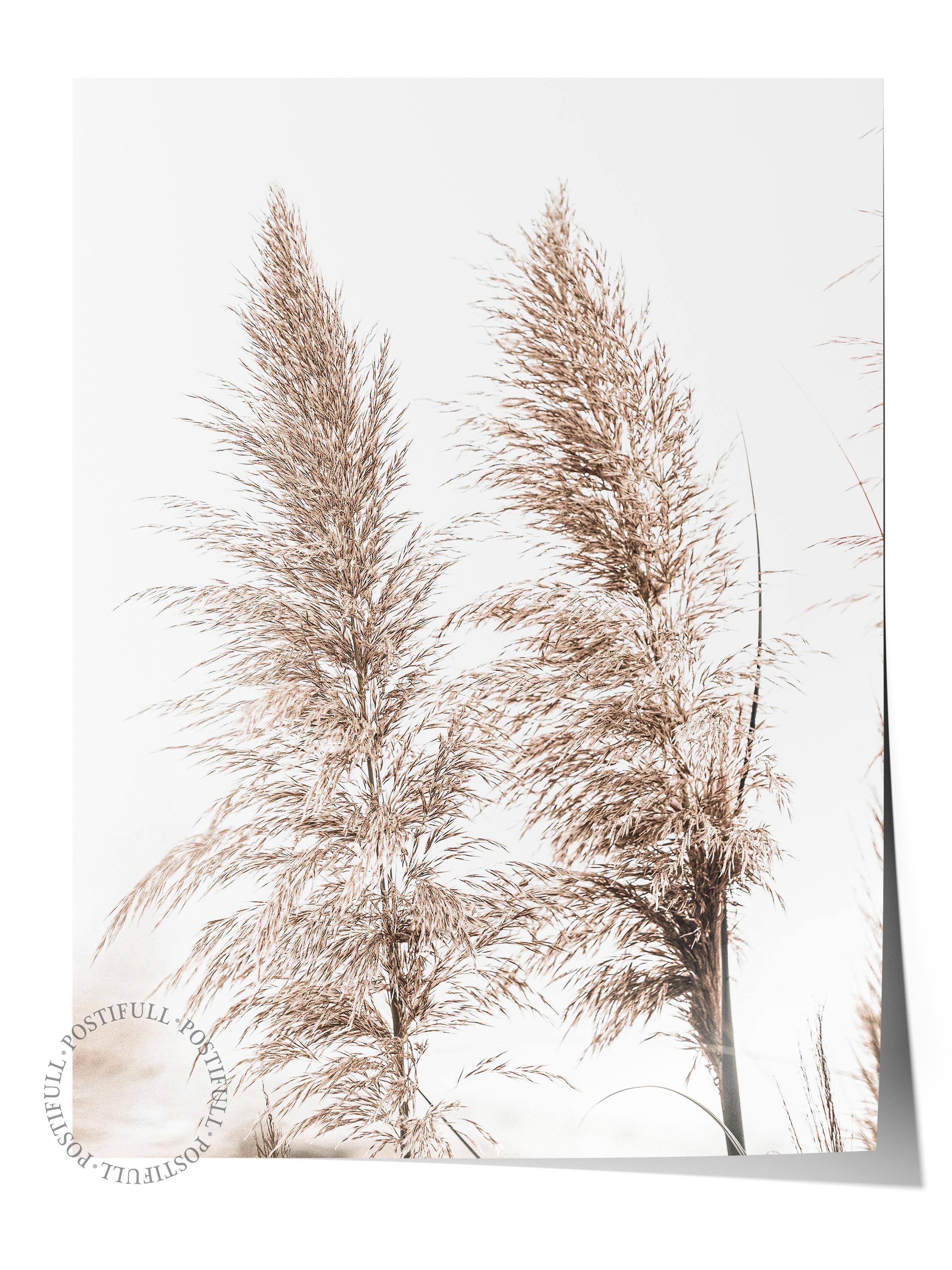 Rustic Çerçevesiz Poster, İskandinav Beyaz Poster, NO:342 Püsküllü Otlar Fotoğraf, Dikey