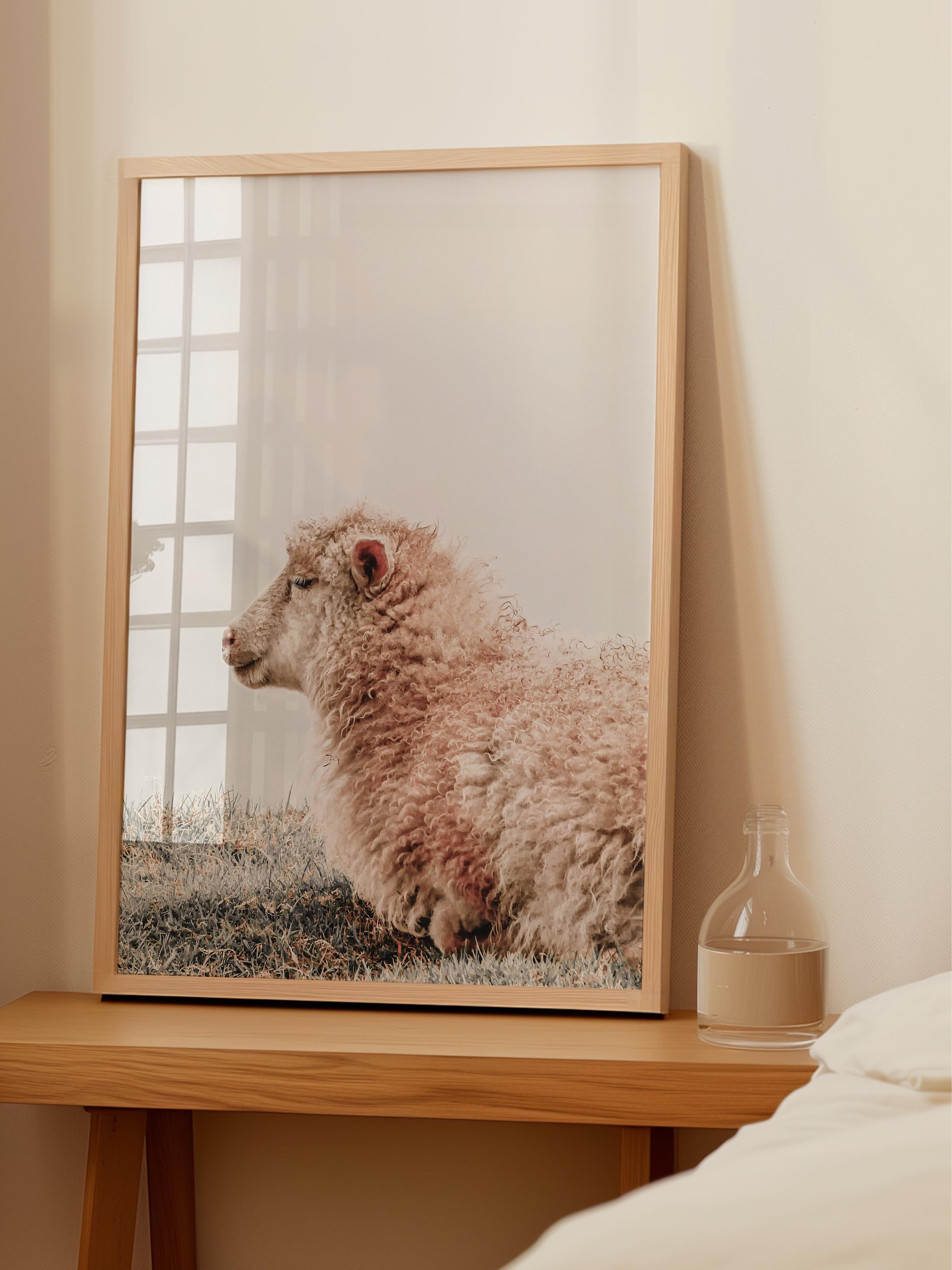 Rustic Çerçevesiz Poster, İskandinav Beyaz Poster, NO:343 Koyun Fotoğraf, Dikey