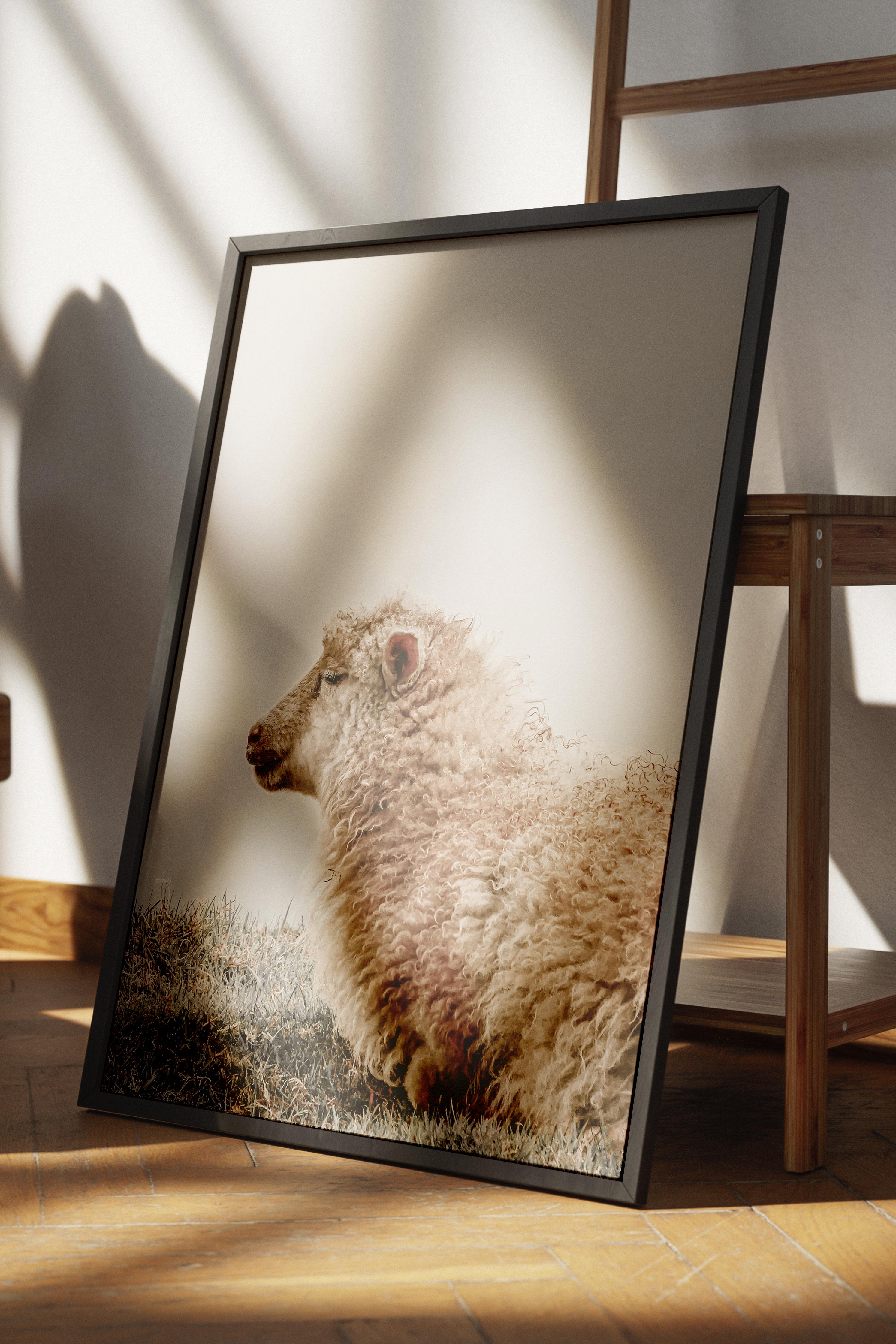 Rustic Çerçevesiz Poster, İskandinav Beyaz Poster, NO:343 Koyun Fotoğraf, Dikey