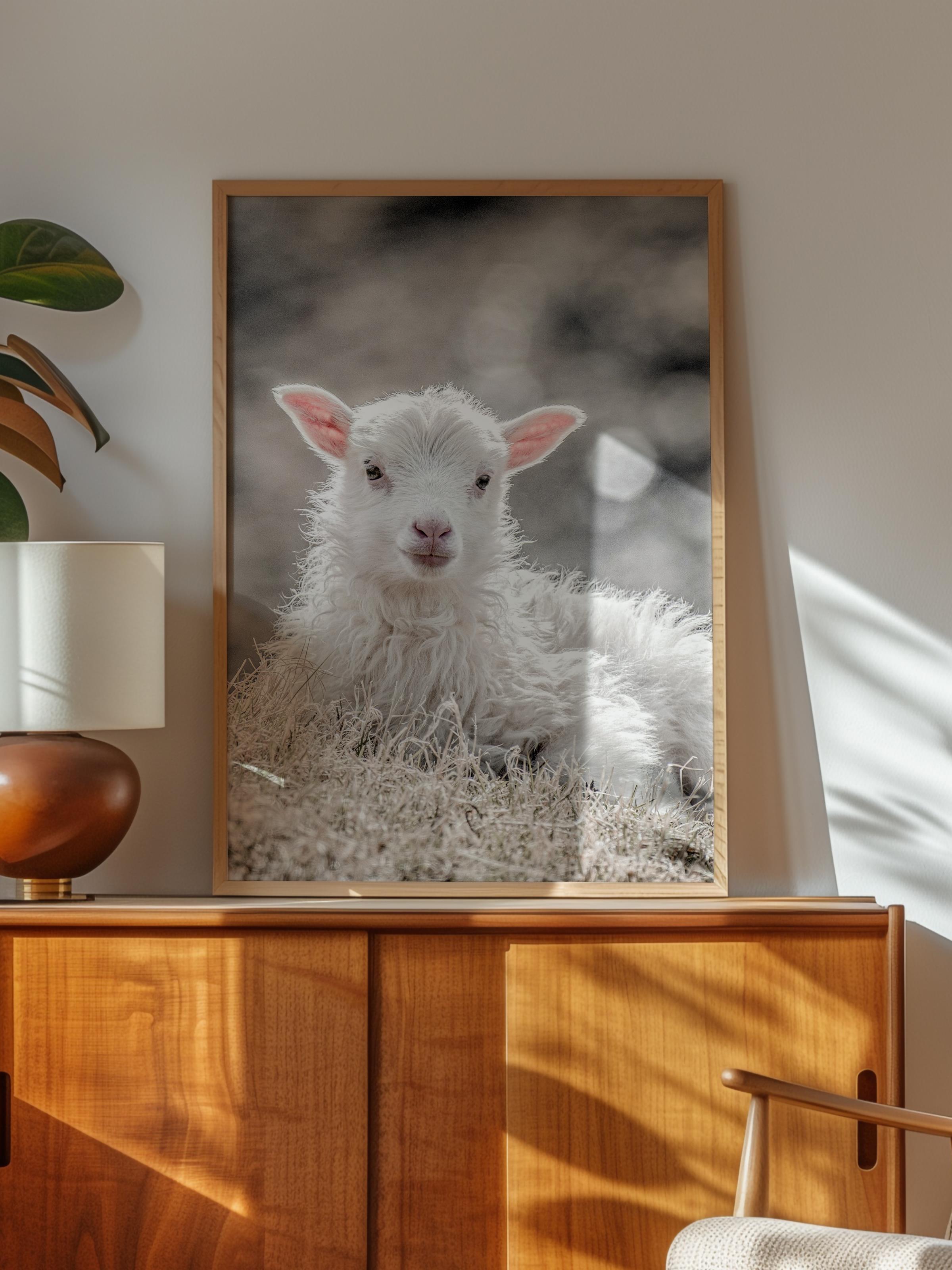 Rustic Çerçevesiz Poster, İskandinav Beyaz Poster, NO:345 Kuzu Fotoğraf, Dikey