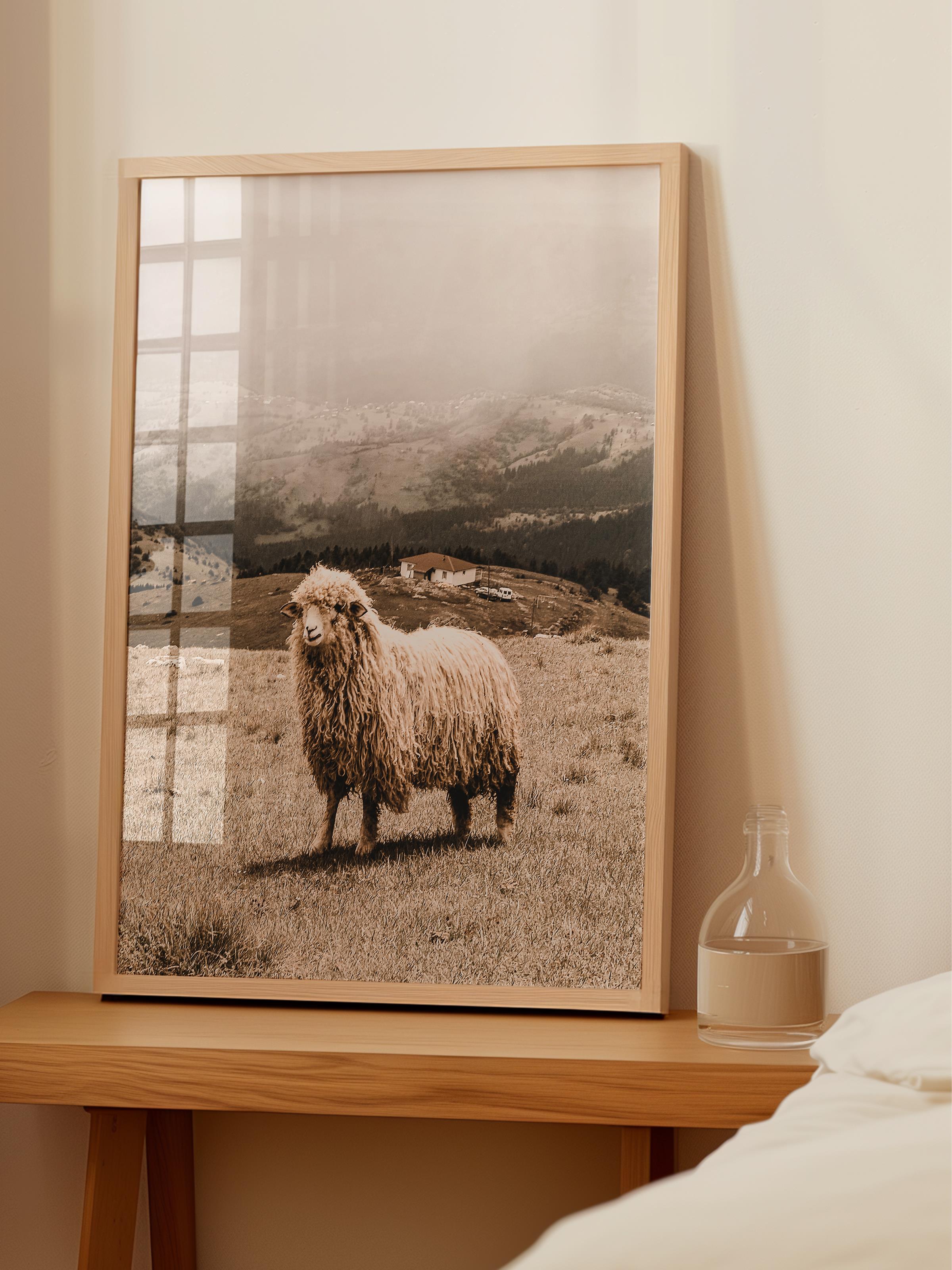Rustic Çerçevesiz Poster, İskandinav Beyaz Poster, NO:348 Koyun Fotoğraf, Dikey