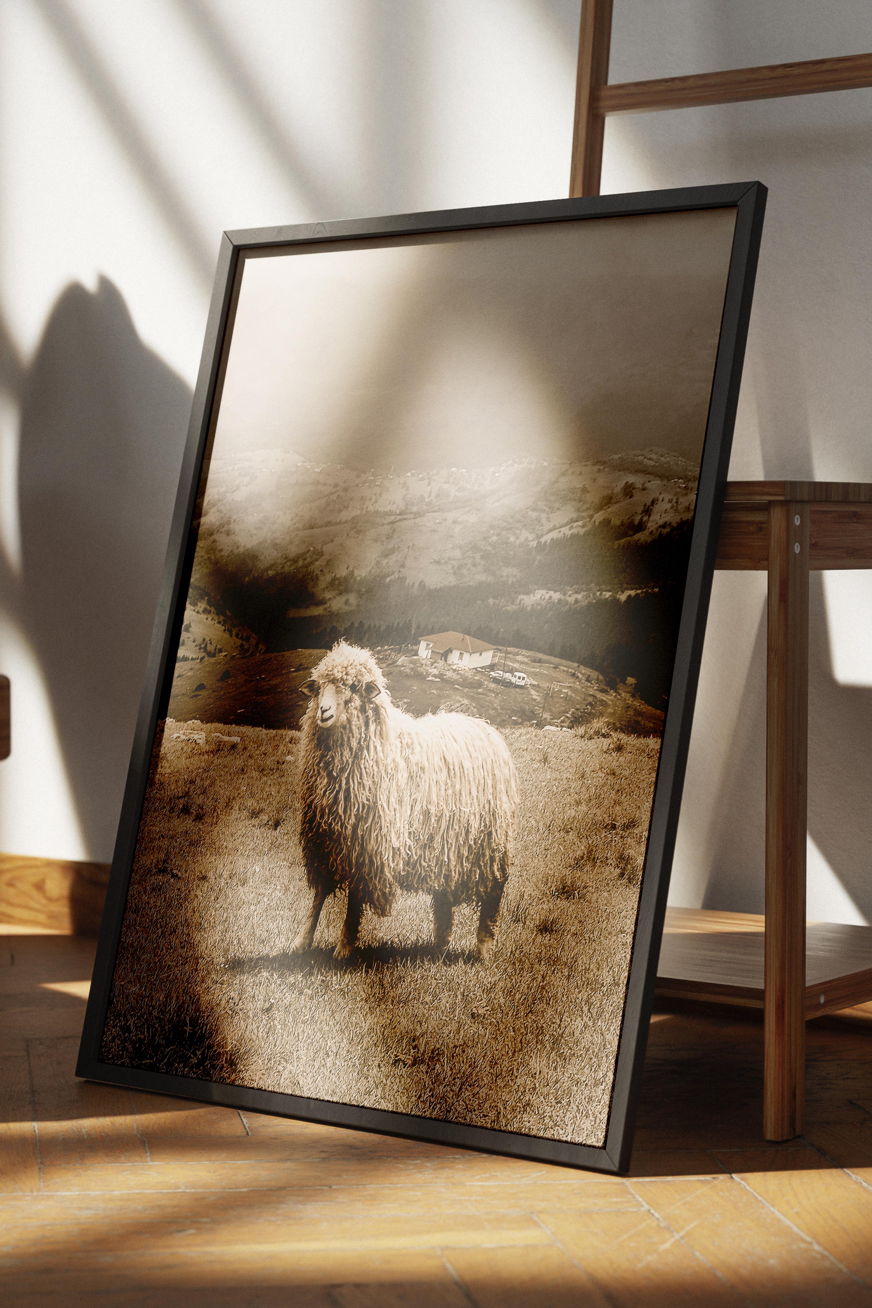 Rustic Çerçevesiz Poster, İskandinav Beyaz Poster, NO:348 Koyun Fotoğraf, Dikey