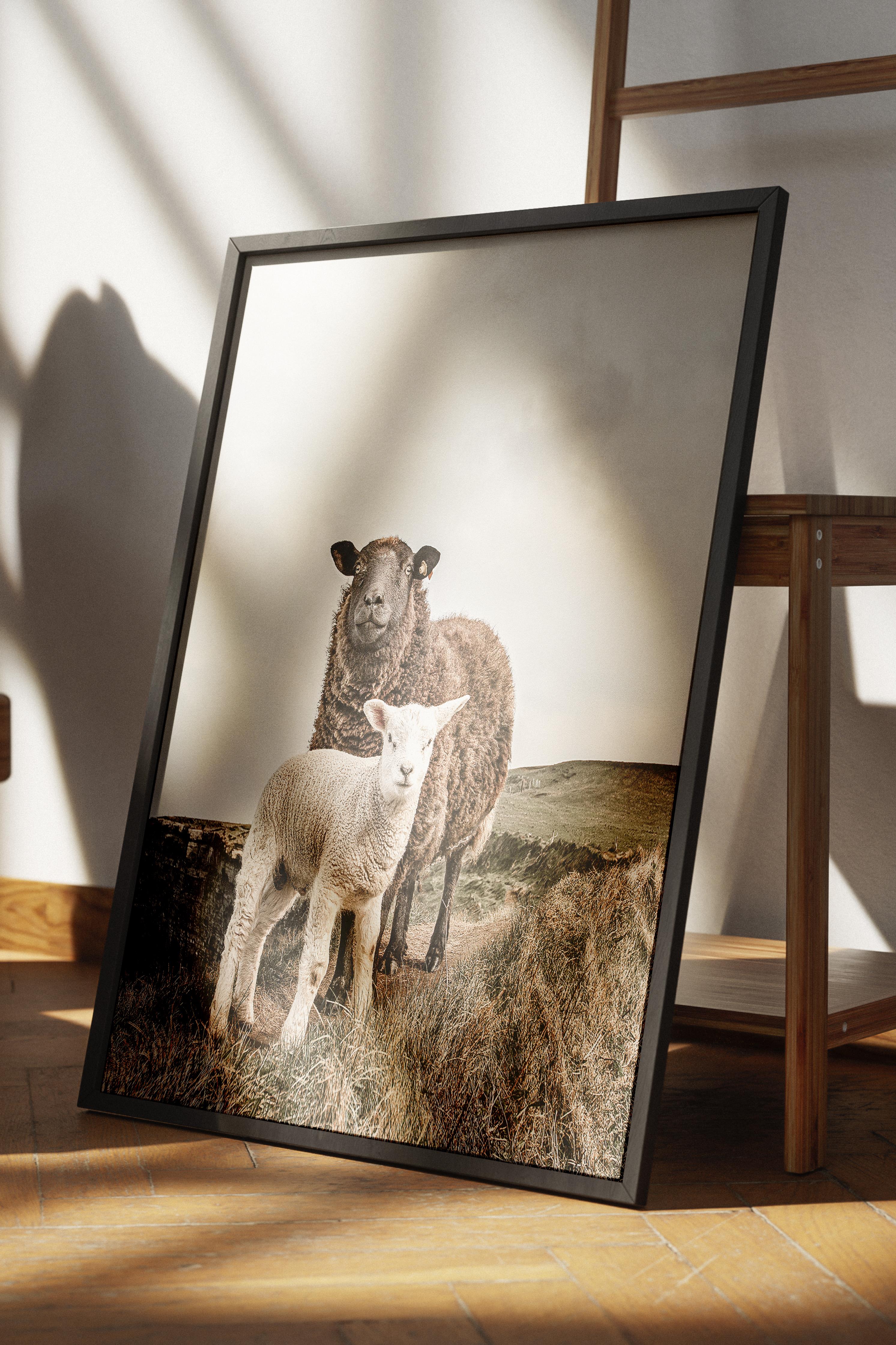 Rustic Çerçevesiz Poster, İskandinav Beyaz Poster, NO:349 İnekler Fotoğraf, Dikey