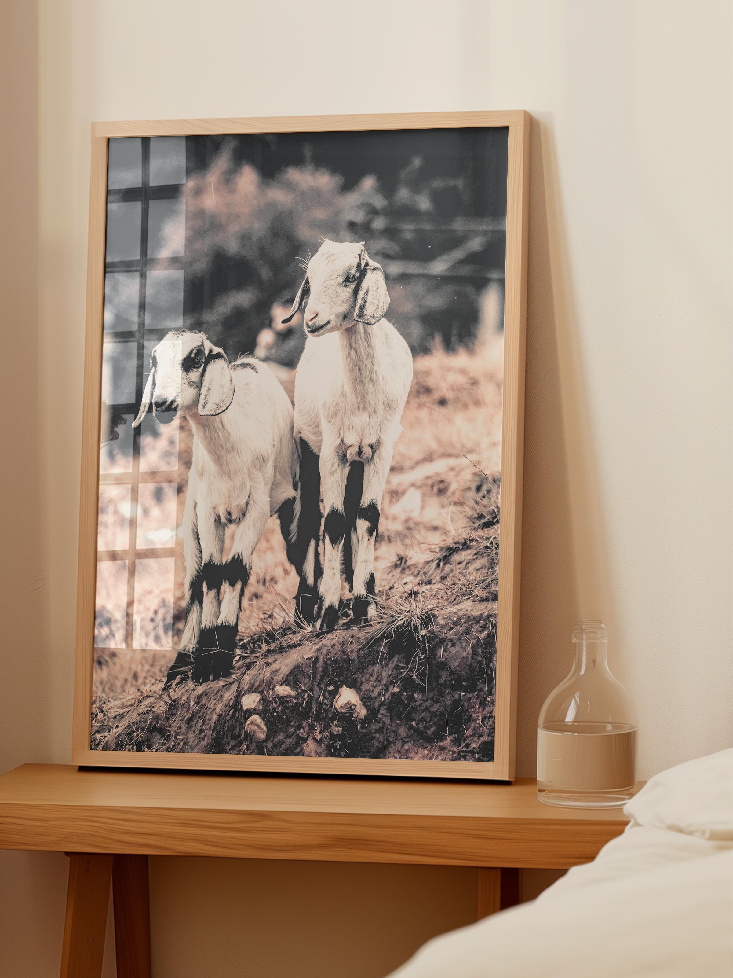 Rustic Çerçevesiz Poster, İskandinav Beyaz Poster, NO:352 İnekler Fotoğraf, Dikey