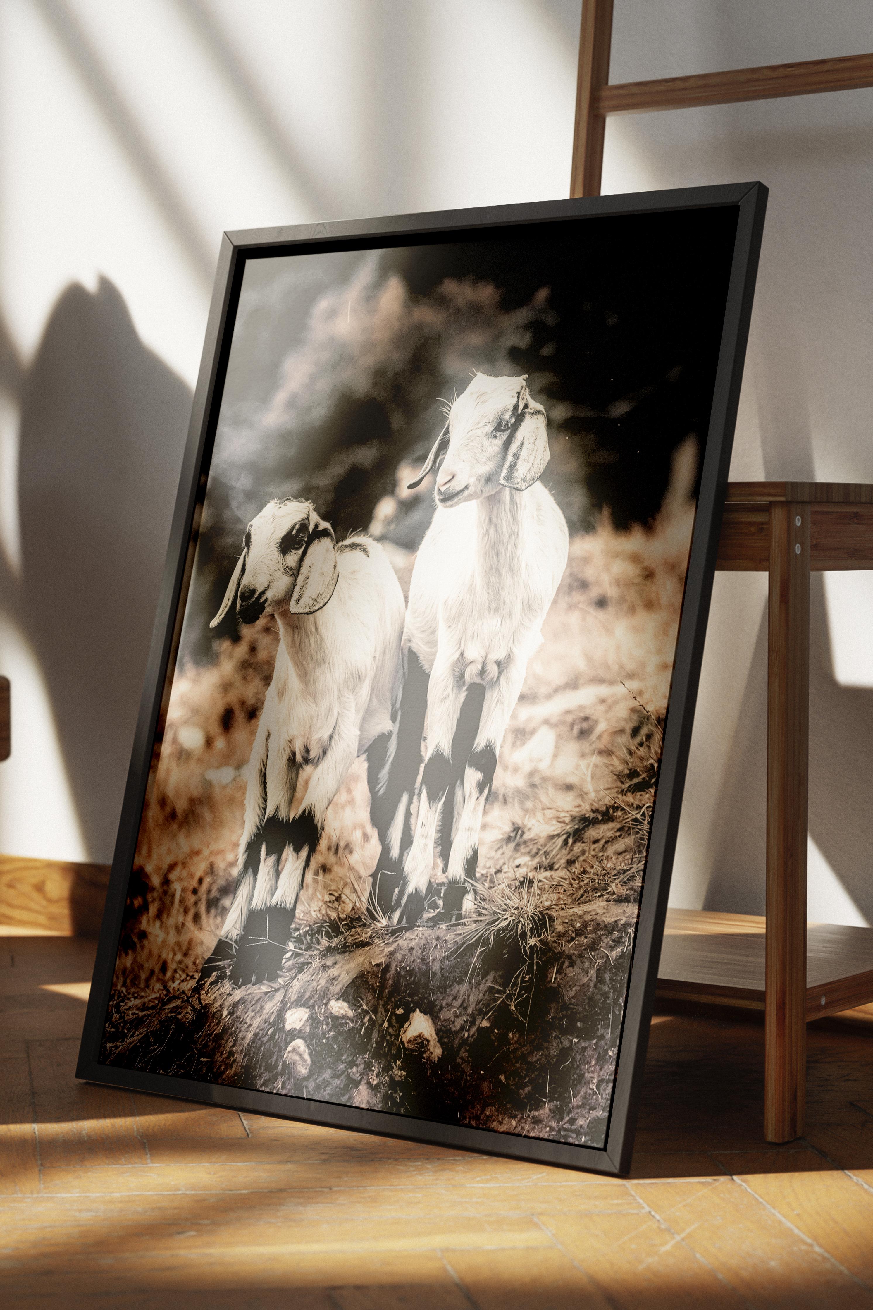 Rustic Çerçevesiz Poster, İskandinav Beyaz Poster, NO:352 İnekler Fotoğraf, Dikey