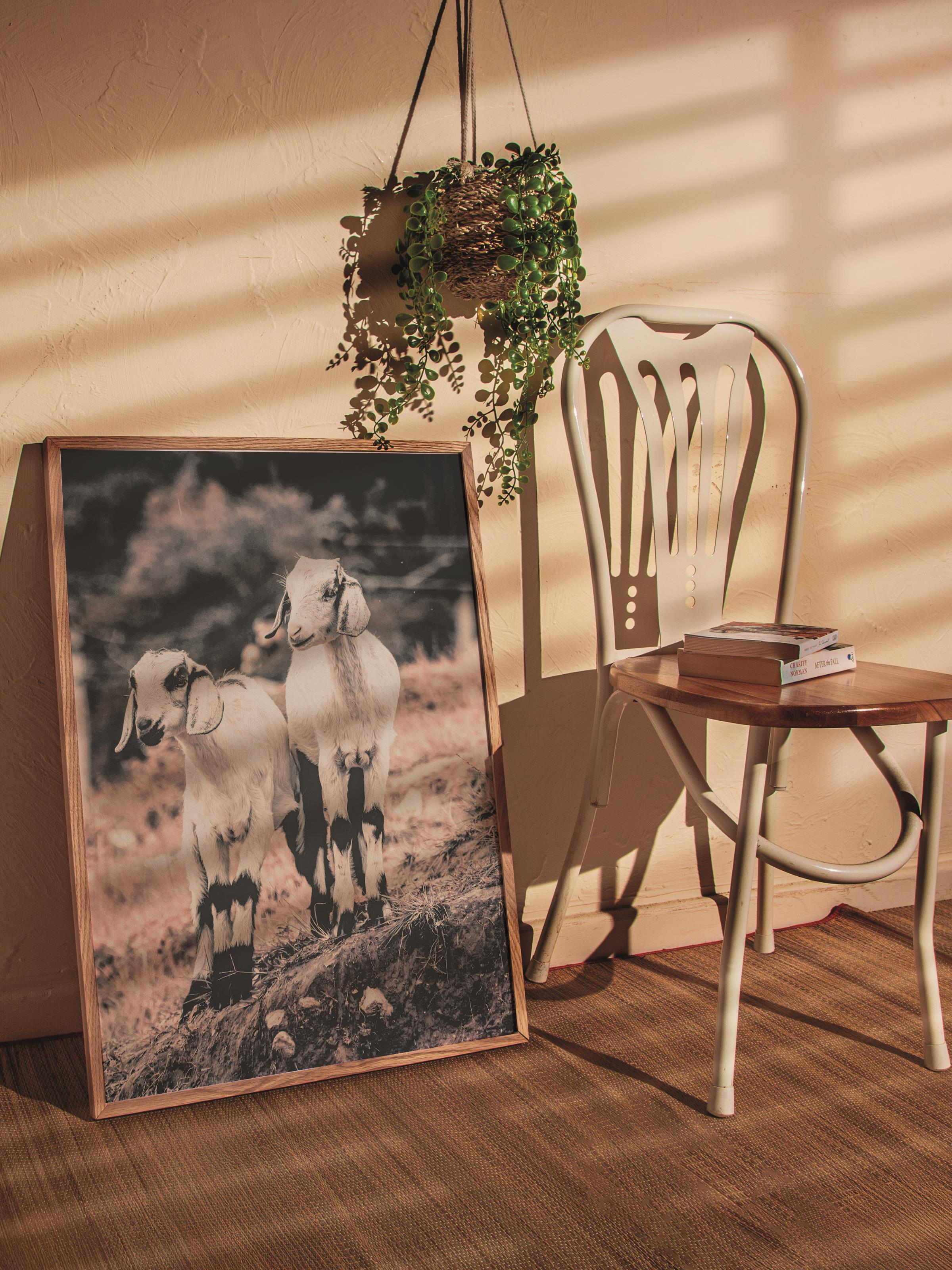 Rustic Çerçevesiz Poster, İskandinav Beyaz Poster, NO:352 İnekler Fotoğraf, Dikey