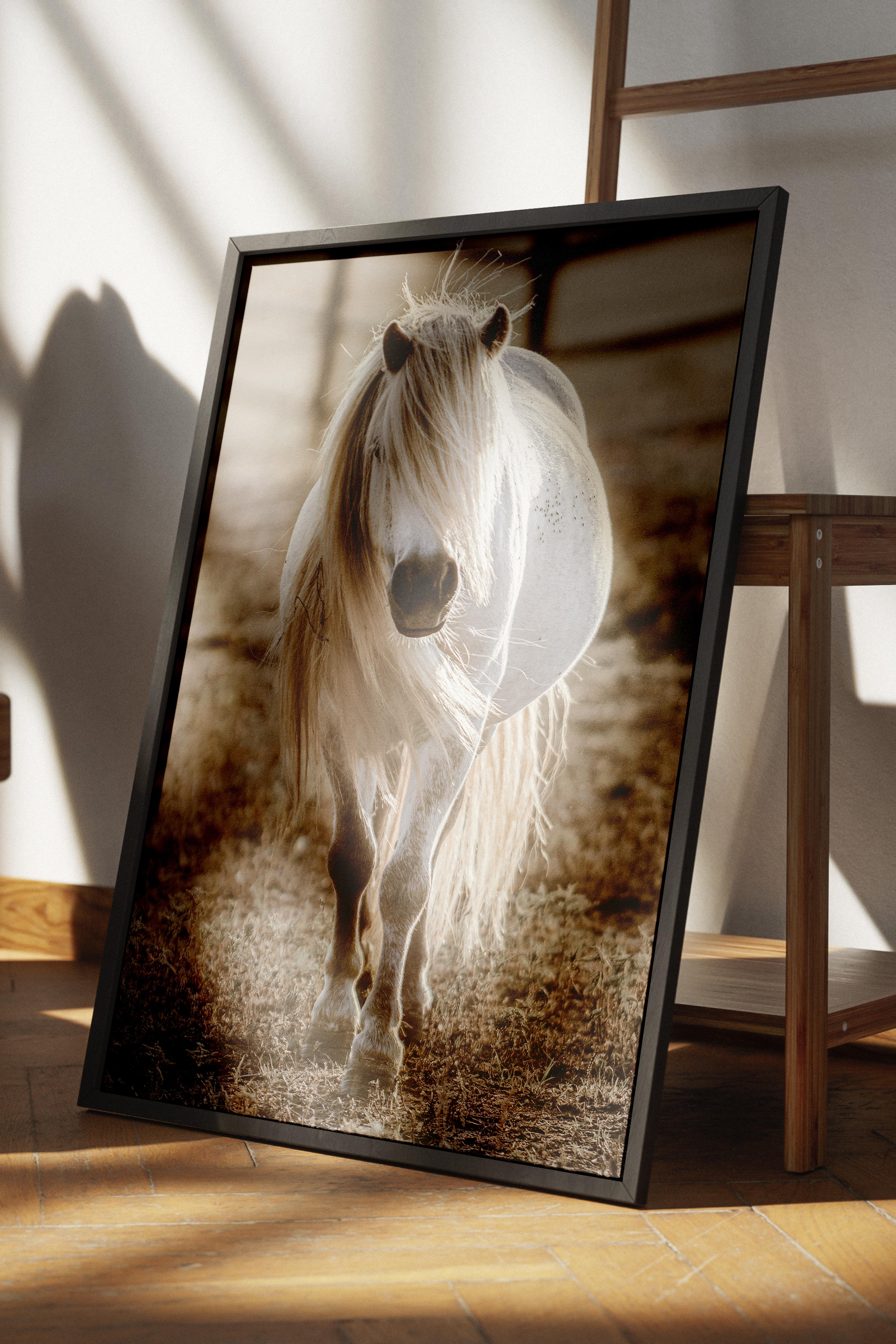 Rustic Çerçevesiz Poster, İskandinav Beyaz Poster, NO:353 At Fotoğraf, Dikey