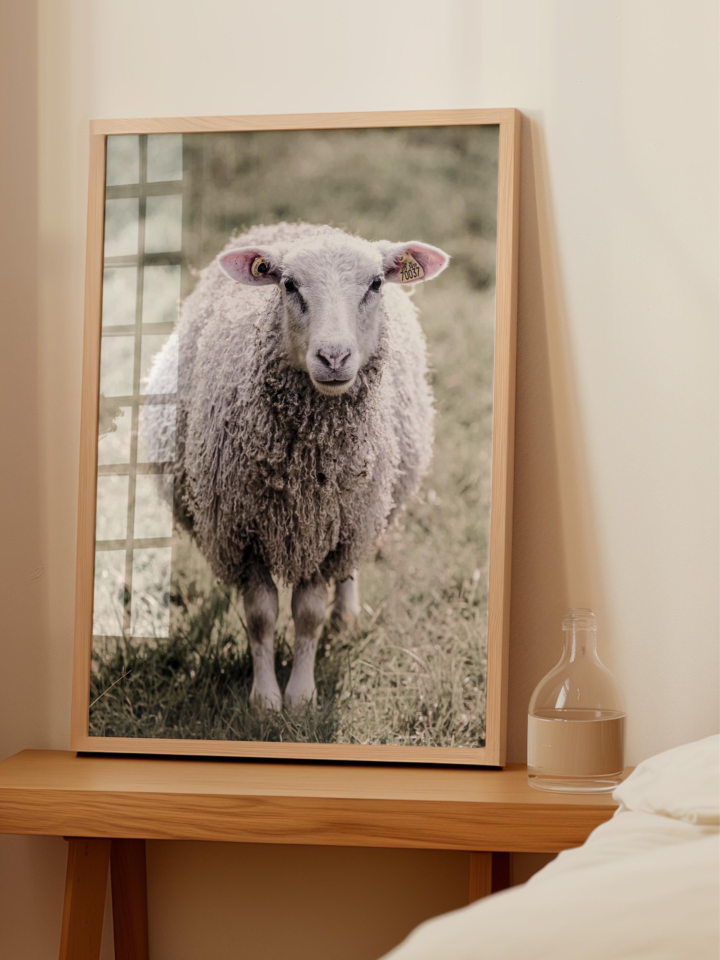 Rustic Çerçevesiz Poster, İskandinav Beyaz Poster, NO:357 Koyun Fotoğraf, Dikey