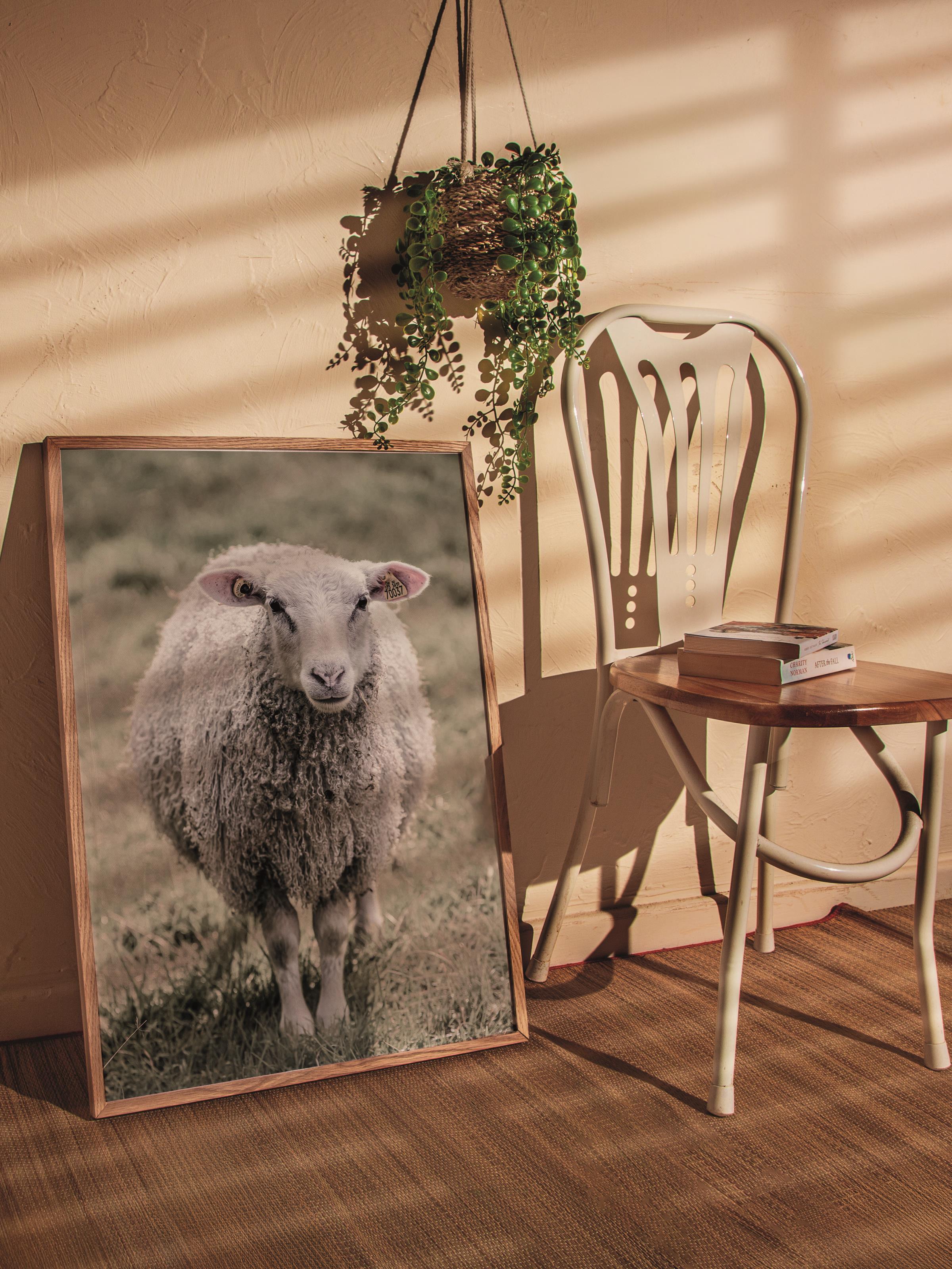 Rustic Çerçevesiz Poster, İskandinav Beyaz Poster, NO:357 Koyun Fotoğraf, Dikey