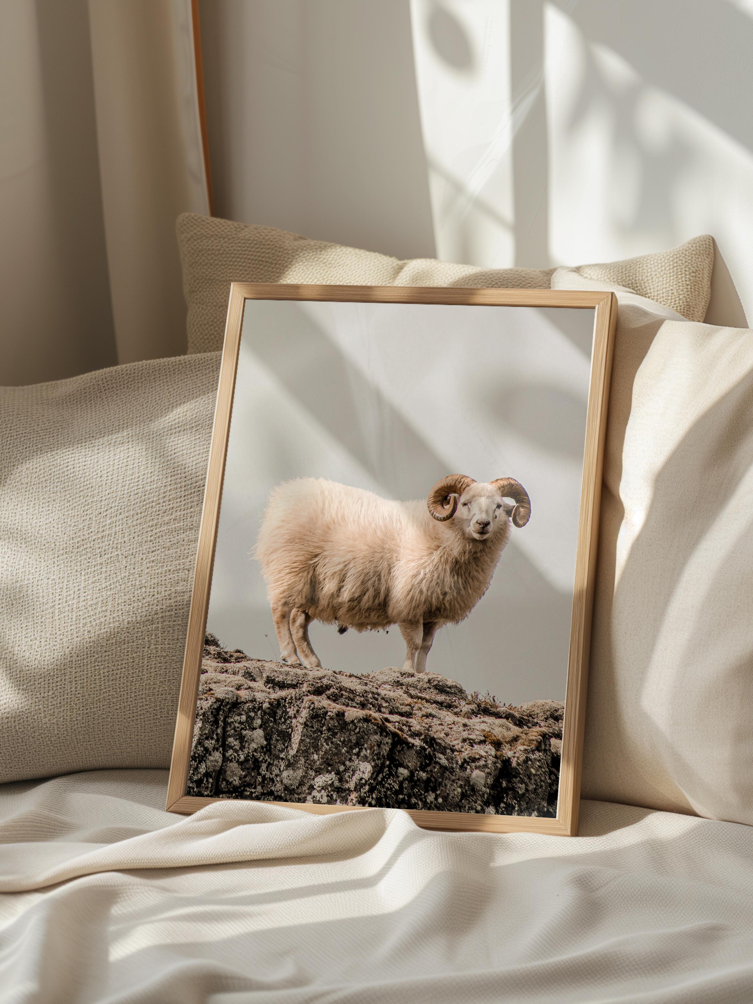 Rustic Çerçevesiz Poster, İskandinav Beyaz Poster, NO:359 Koç Fotoğraf, Dikey