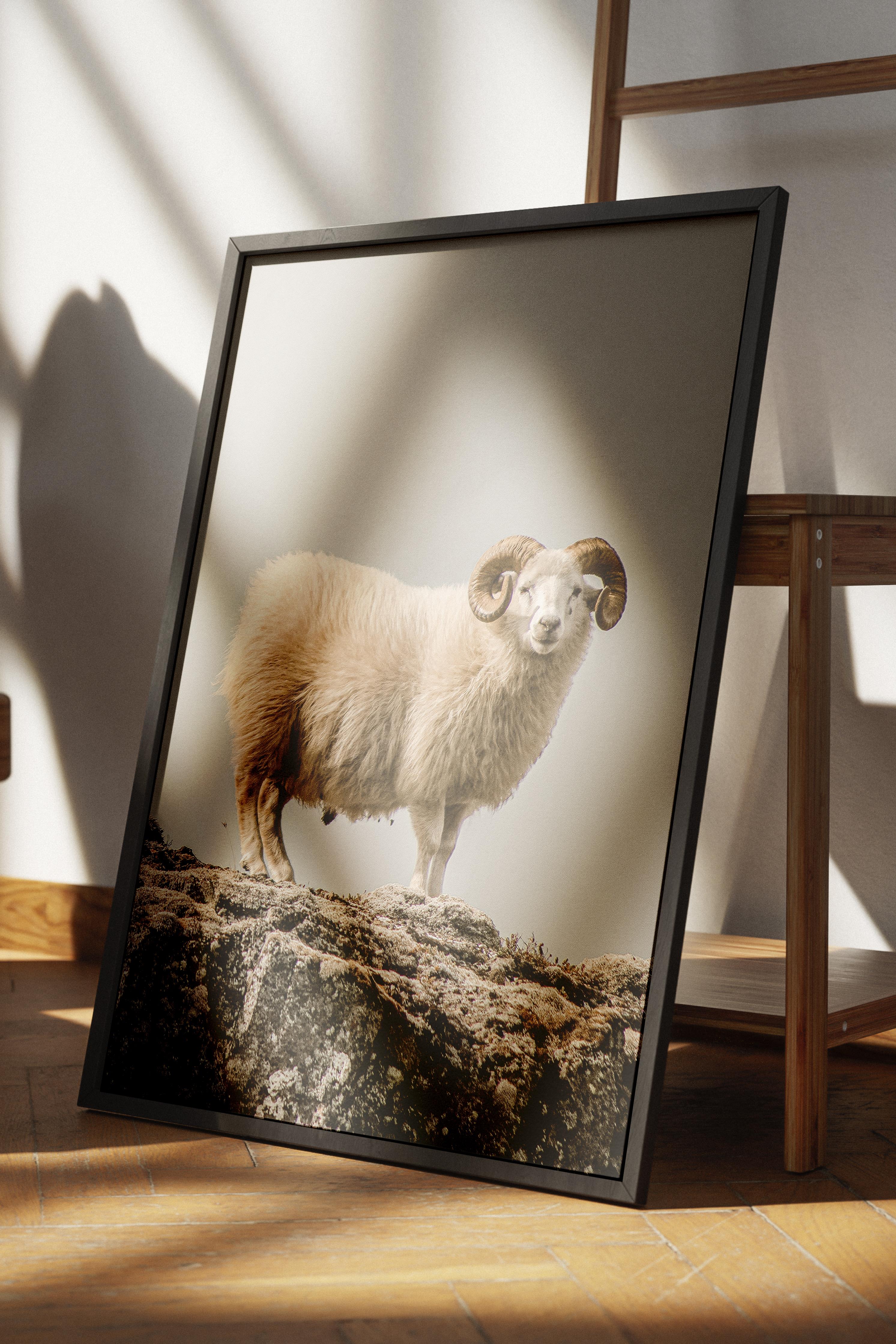 Rustic Çerçevesiz Poster, İskandinav Beyaz Poster, NO:359 Koç Fotoğraf, Dikey
