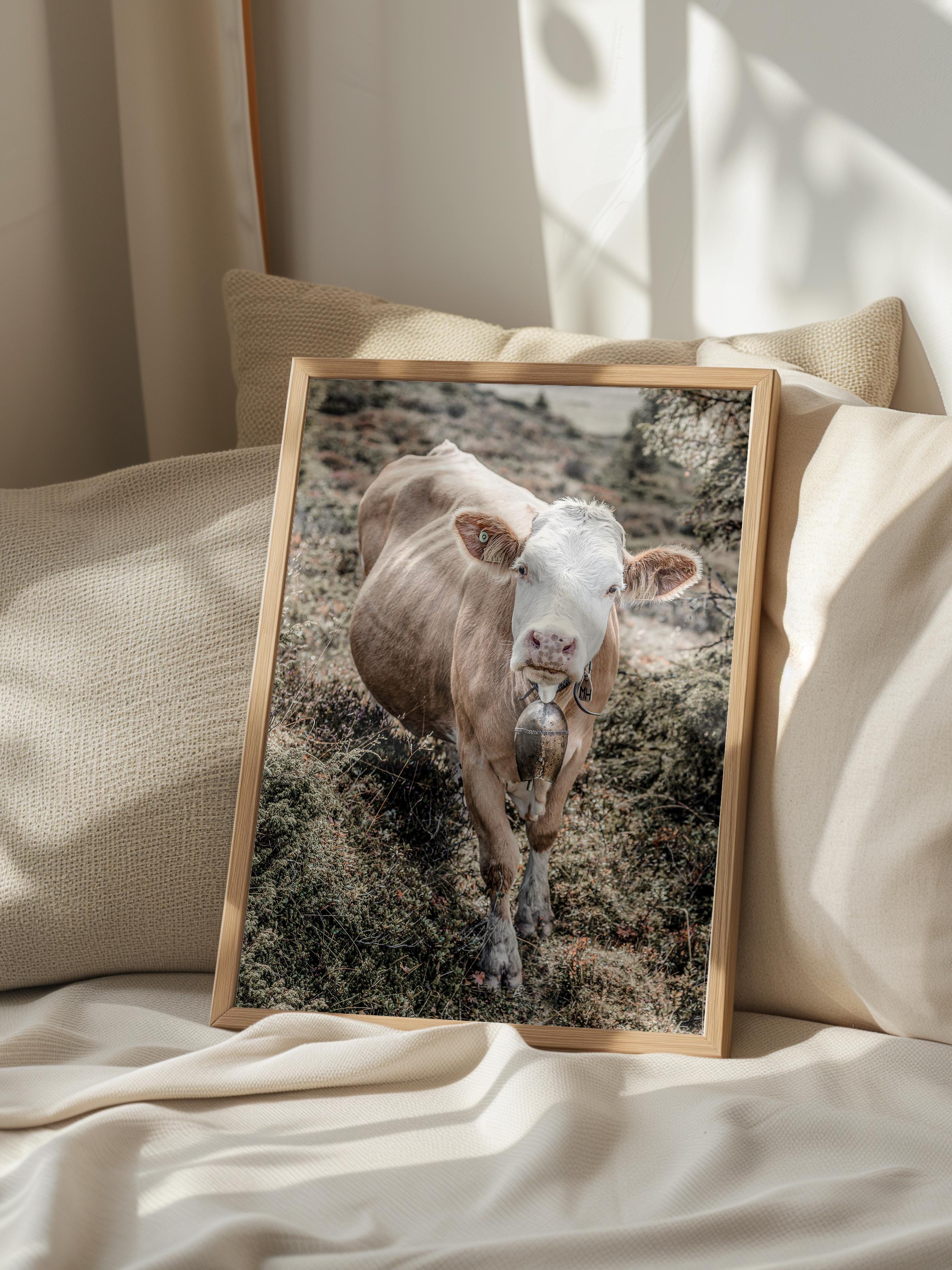 Rustic Çerçevesiz Poster, İskandinav Beyaz Poster, NO:361 İnek Fotoğraf, Dikey