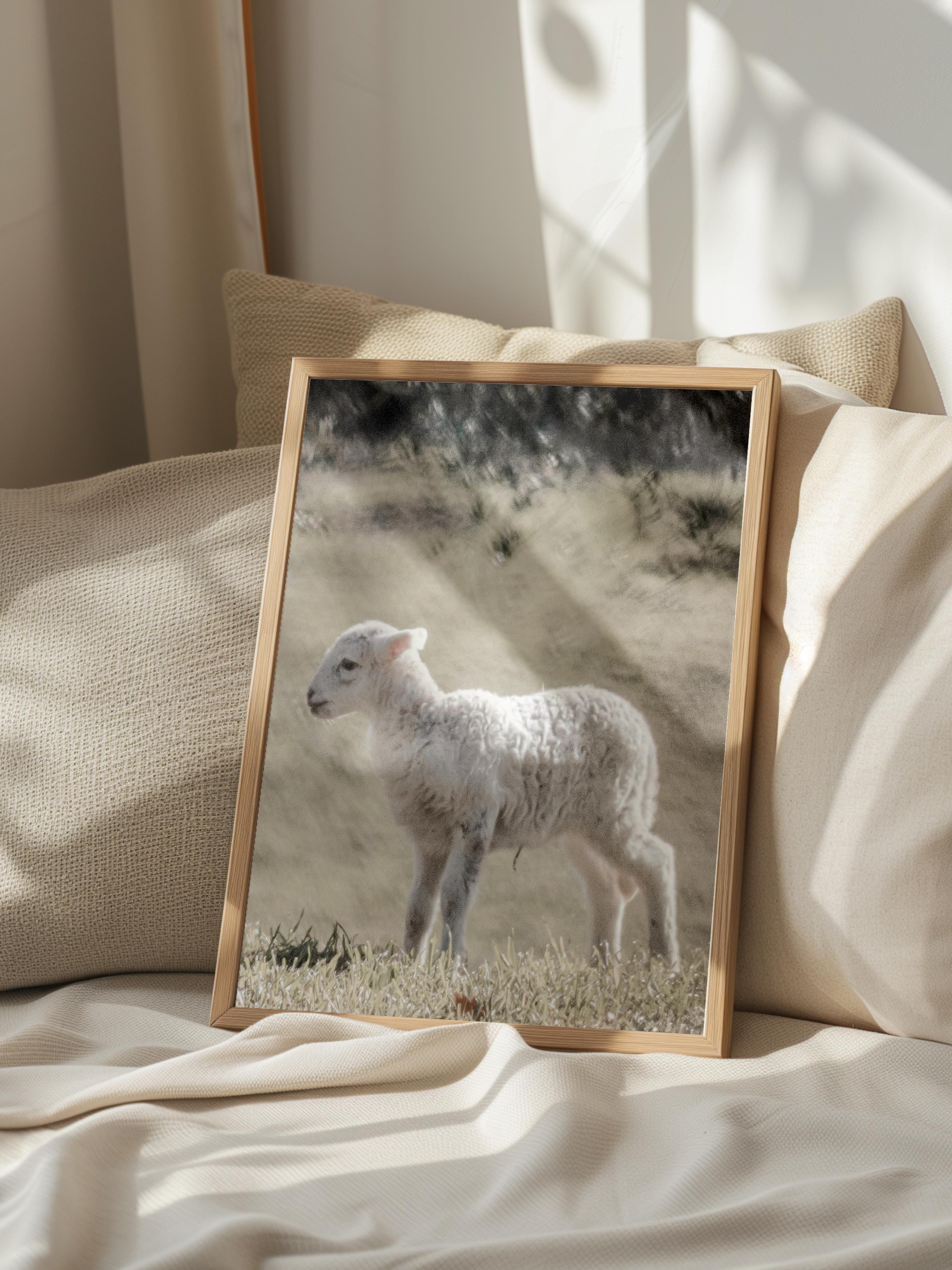 Rustic Çerçevesiz Poster, İskandinav Beyaz Poster, NO:366 Kuzu Fotoğraf, Dikey